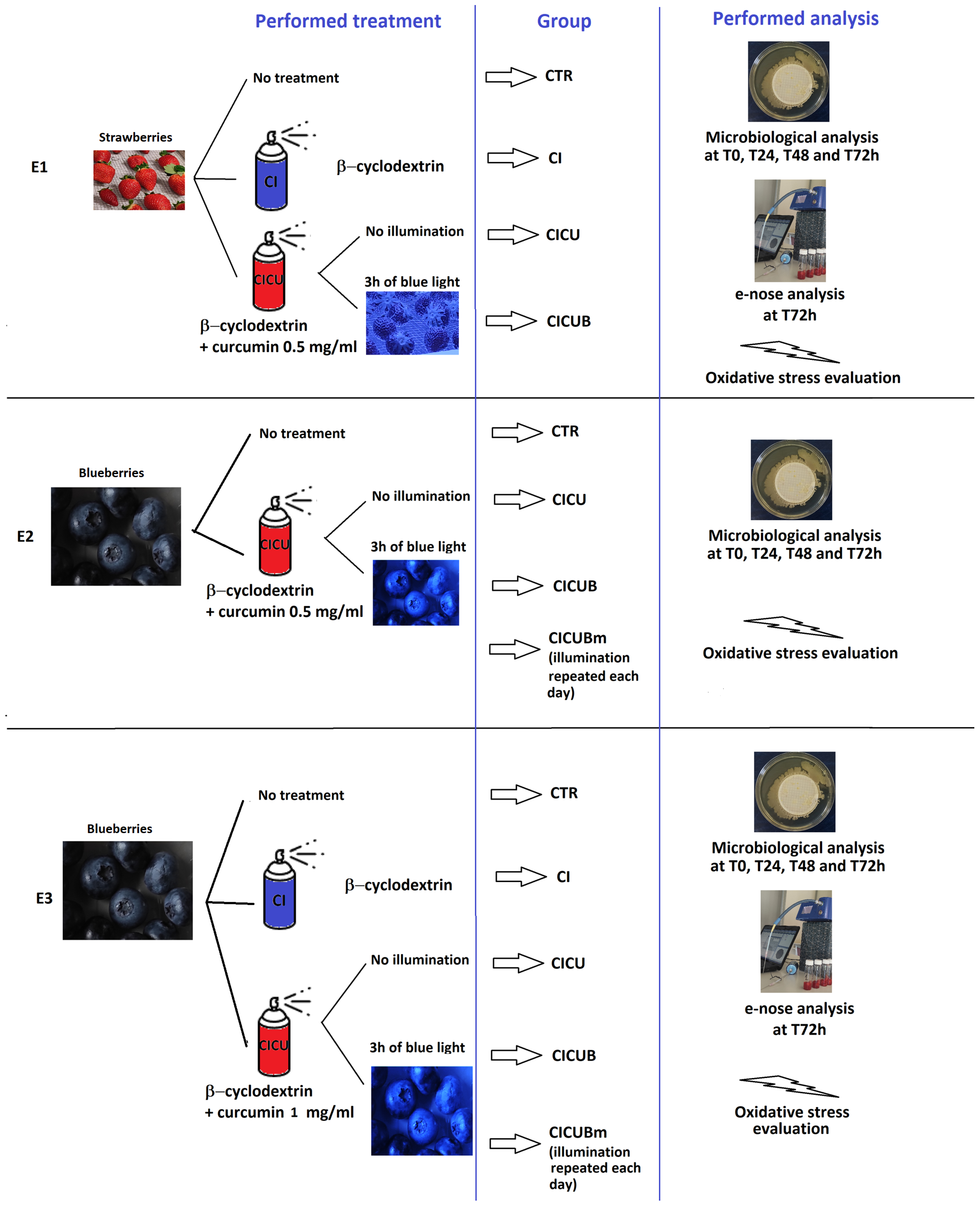 Foods 12 02038 g001 Foods 12 02038 g001