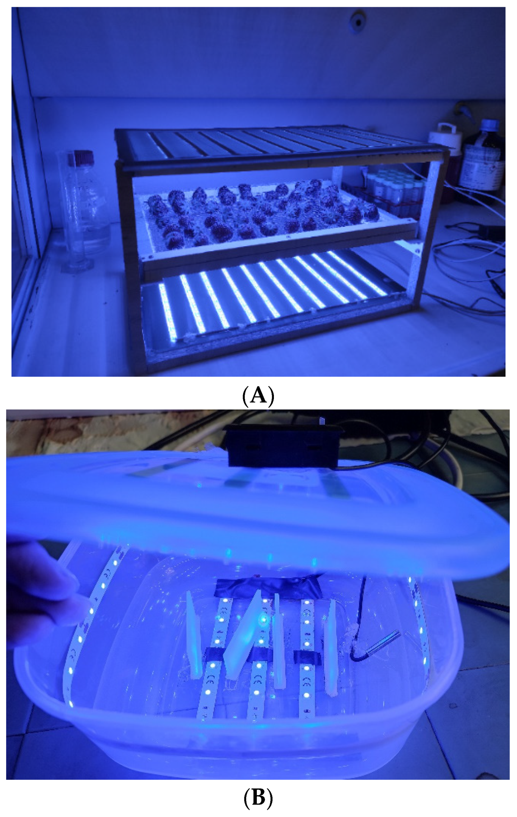 Foods 12 02038 g002 Foods 12 02038 g002