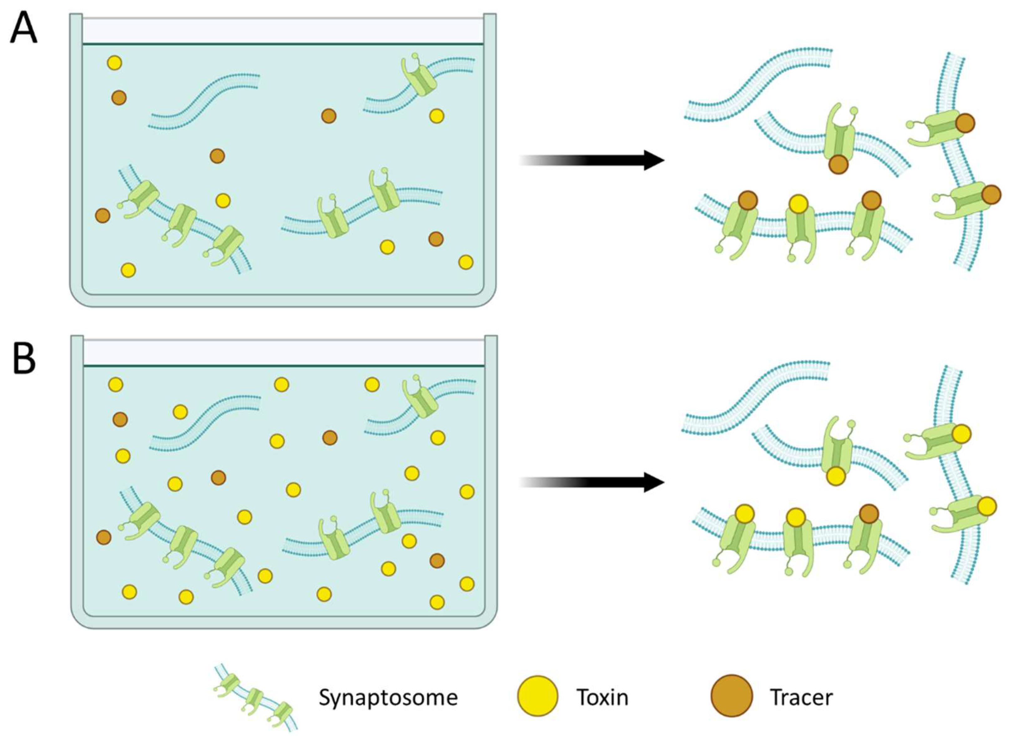 Foods 12 02043 g002 Foods 12 02043 g002