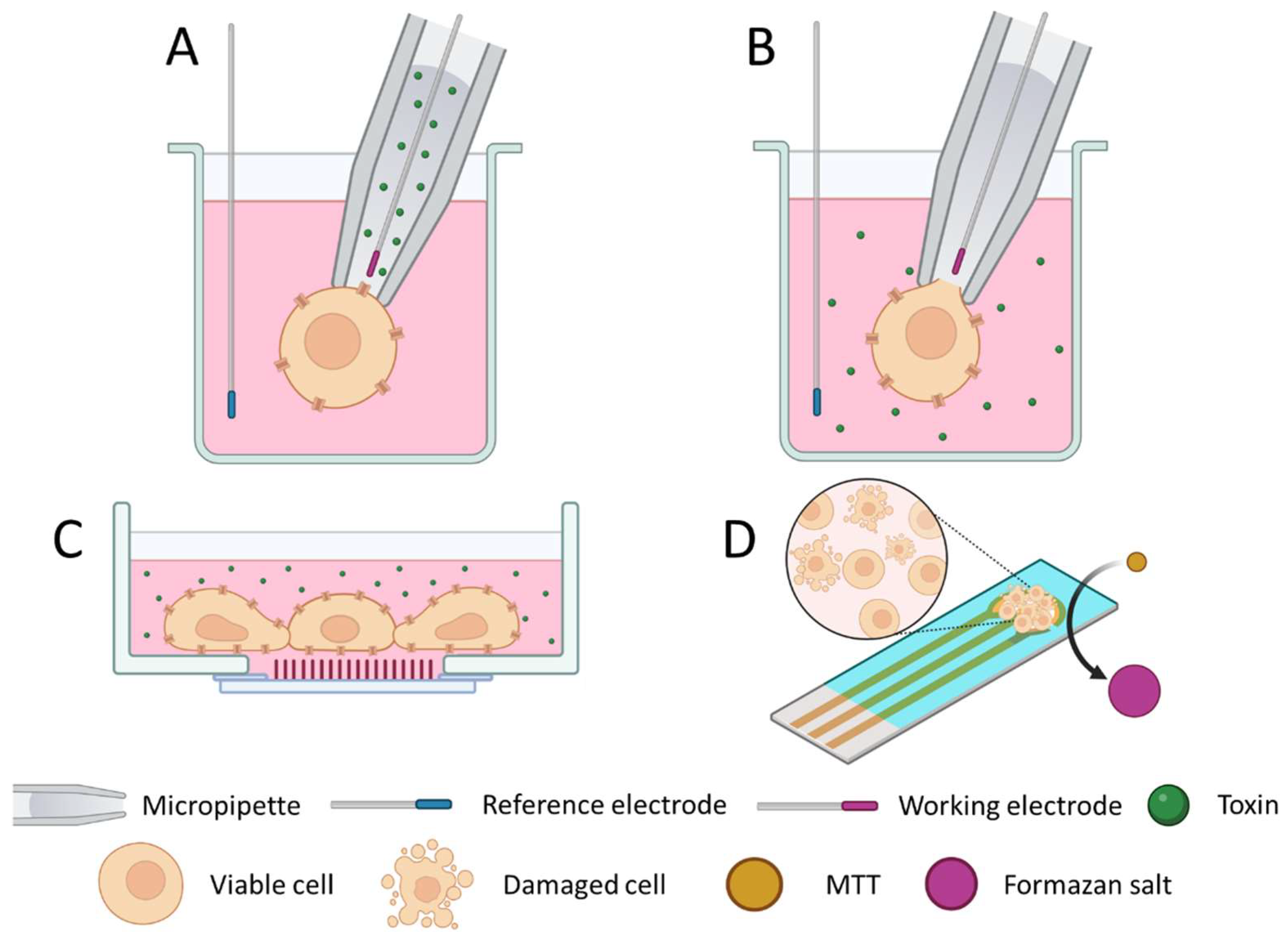 Foods 12 02043 g003 Foods 12 02043 g003