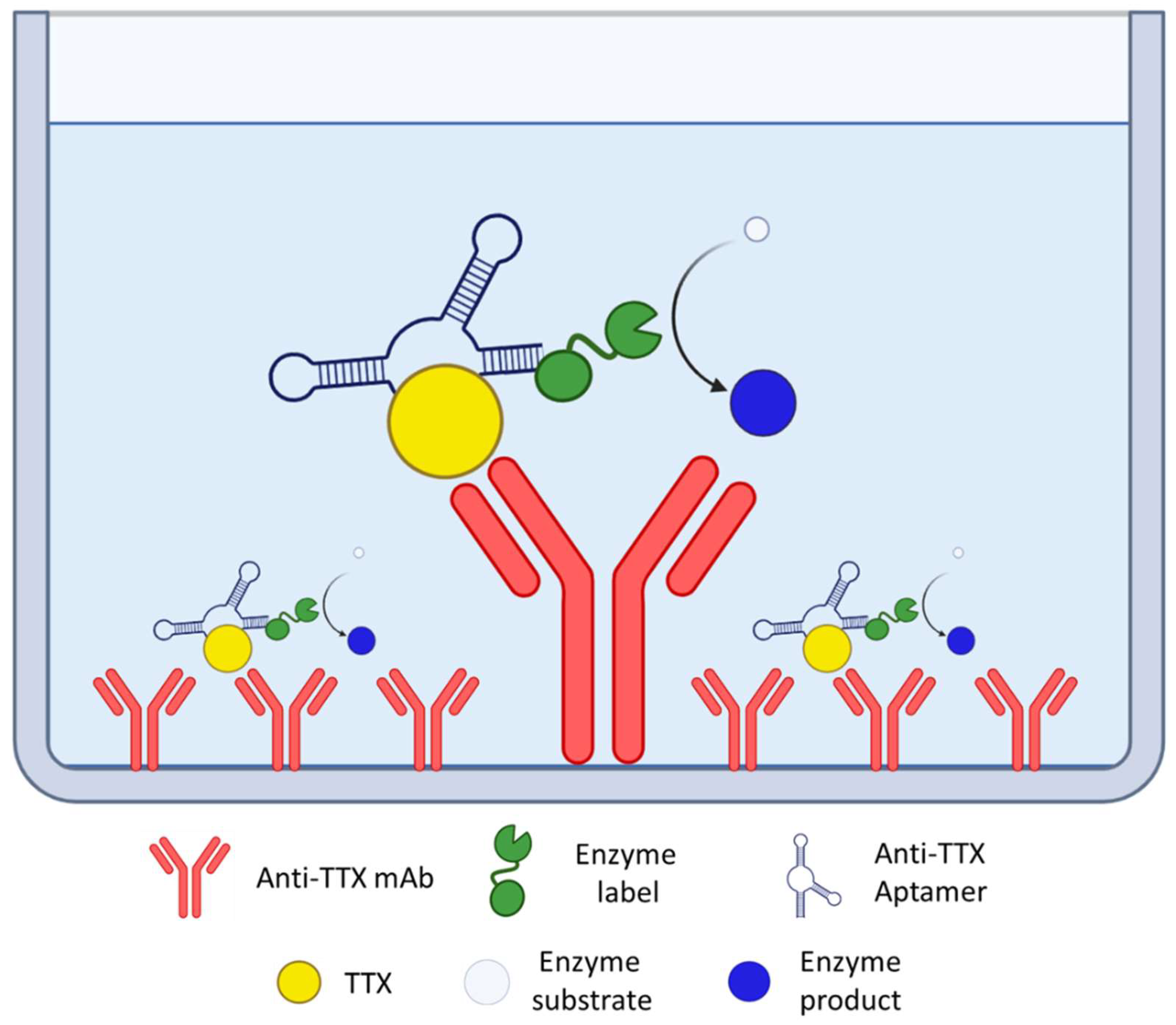 Foods 12 02043 g005 Foods 12 02043 g005