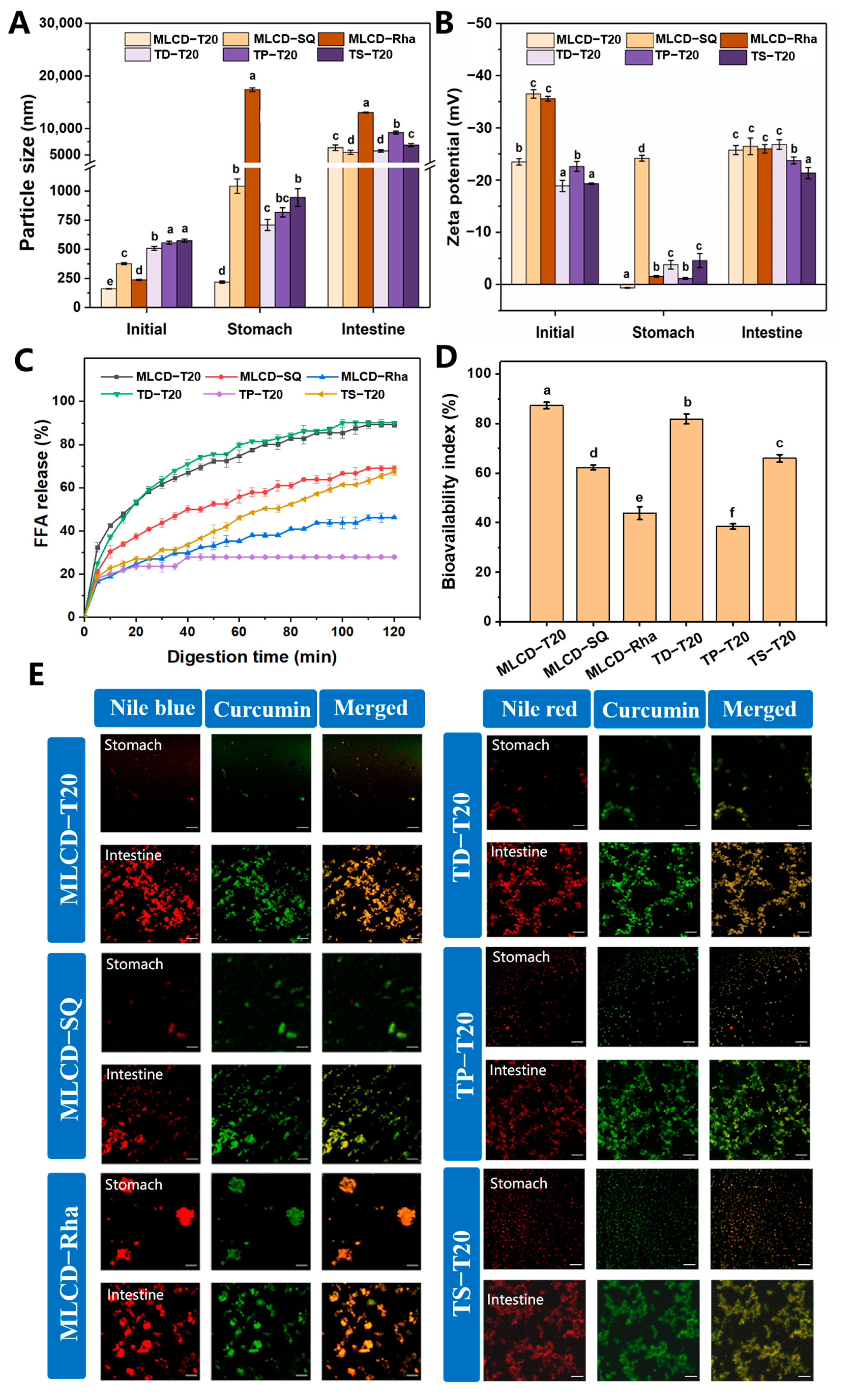 Foods 12 02045 g005 Foods 12 02045 g005