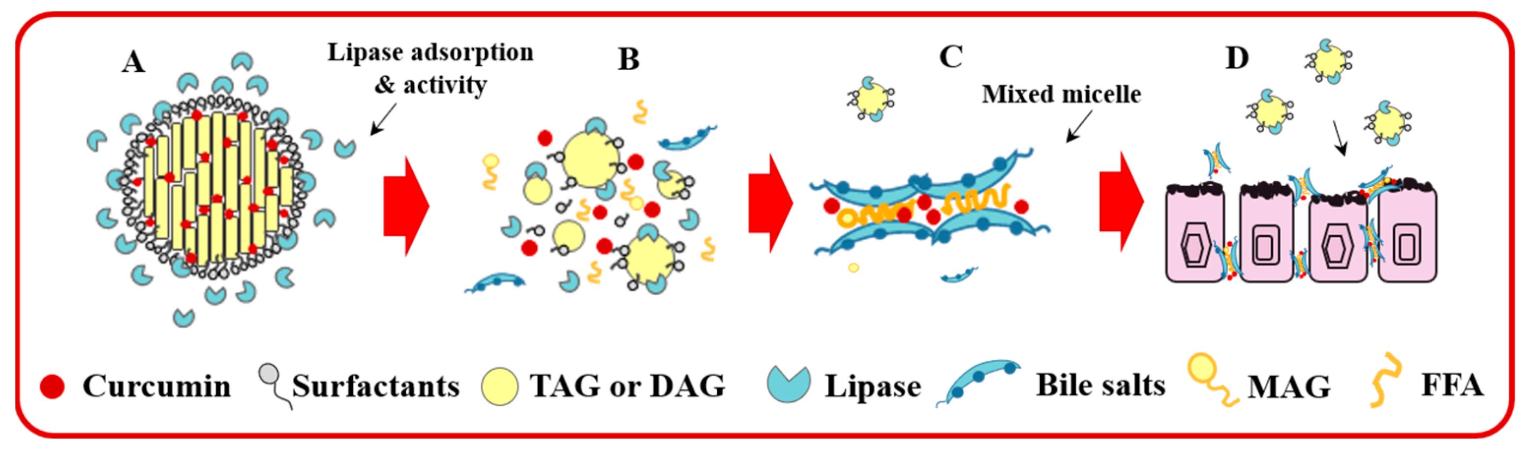 Foods 12 02045 g006 Foods 12 02045 g006