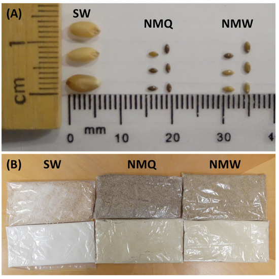 Foods Free FullText Panicum an Australian Native