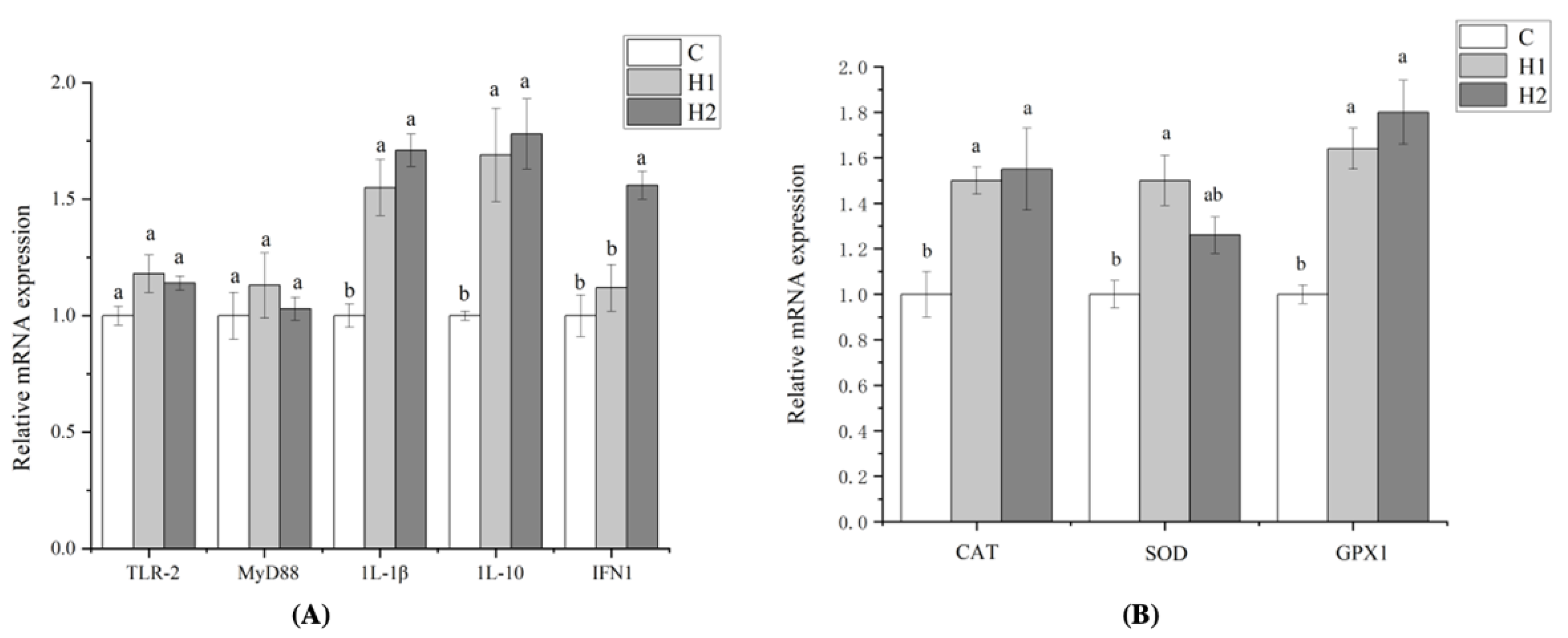 Foods 12 02051 g001 Foods 12 02051 g001
