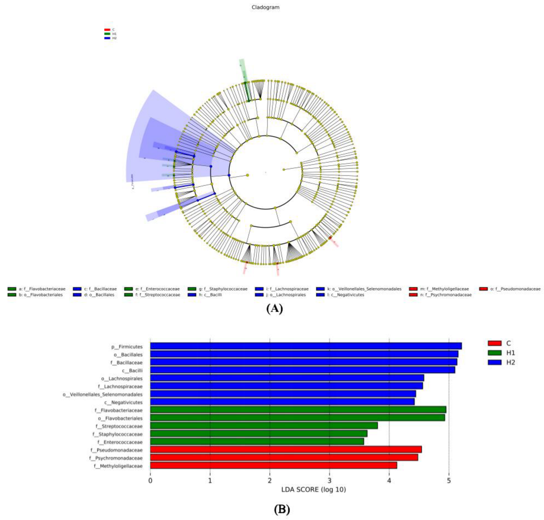 Foods 12 02051 g004 Foods 12 02051 g004