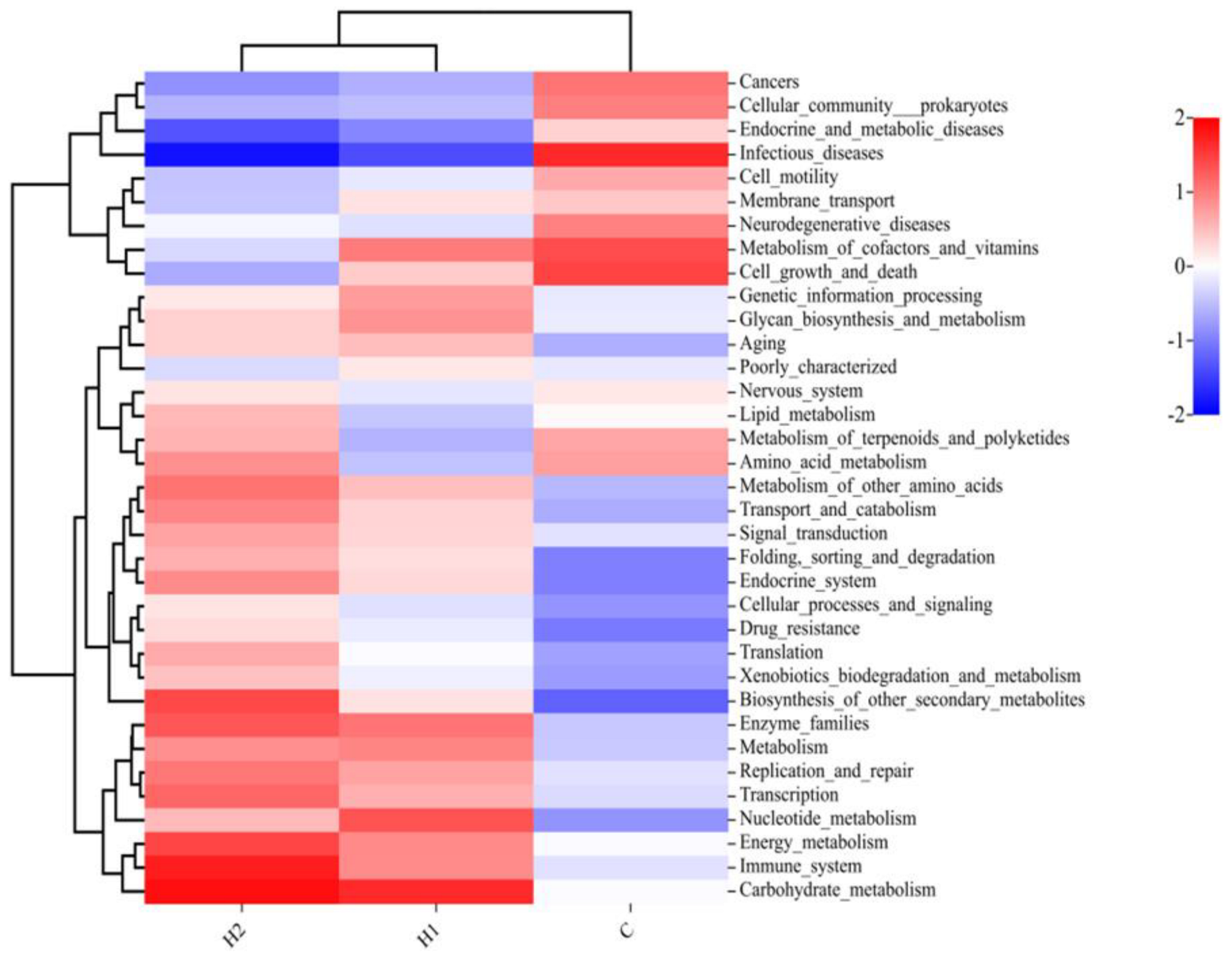 Foods 12 02051 g005 Foods 12 02051 g005