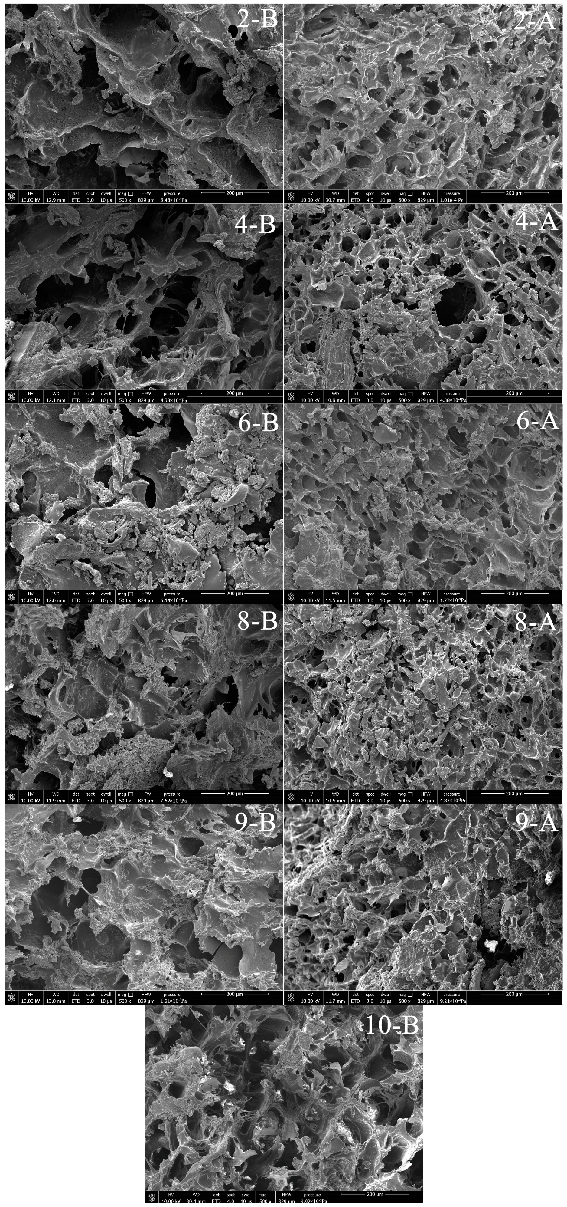 Foods | Free Full-Text | Effect of 3D Food Printing Processing on 