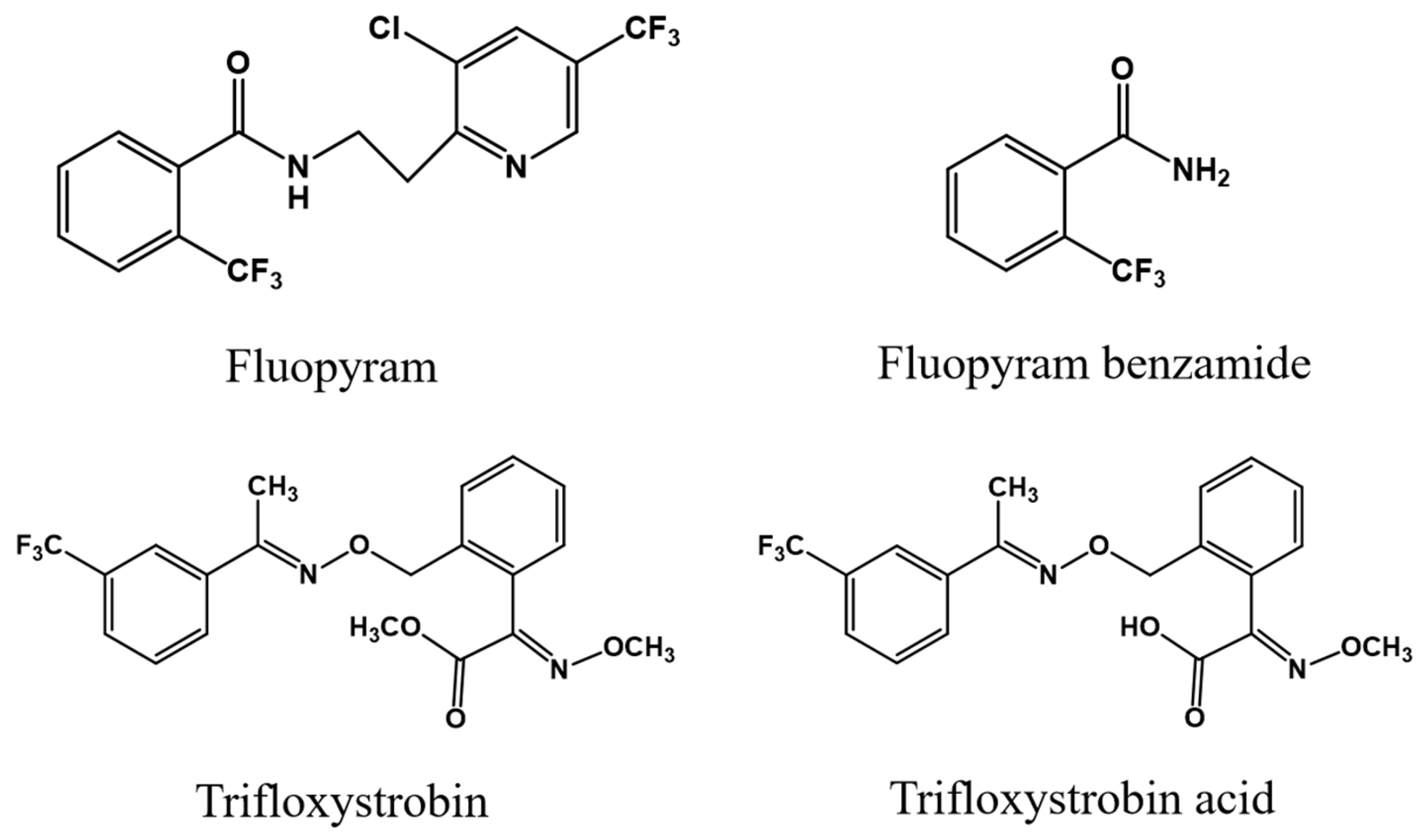 Foods 12 02082 g001 550