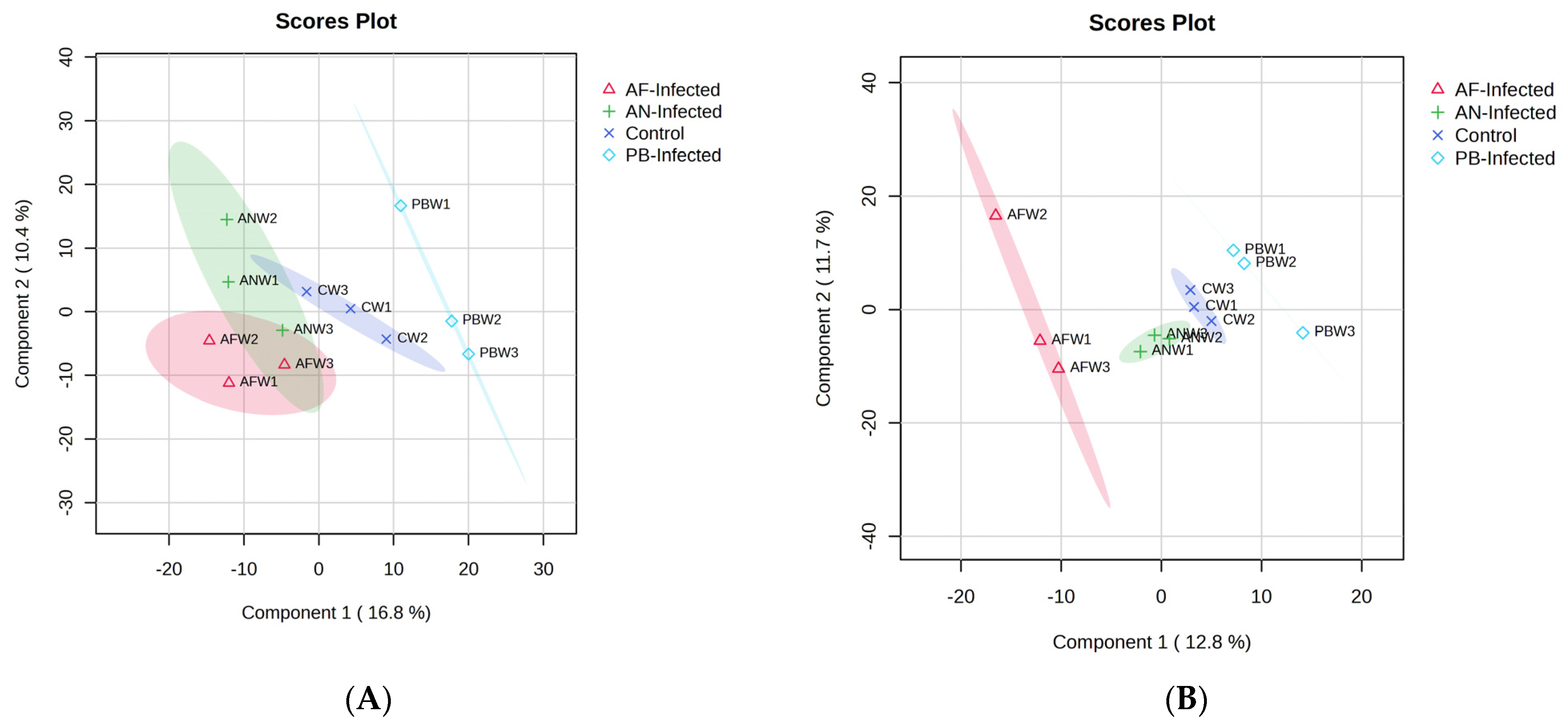 Foods 12 02083 g002a