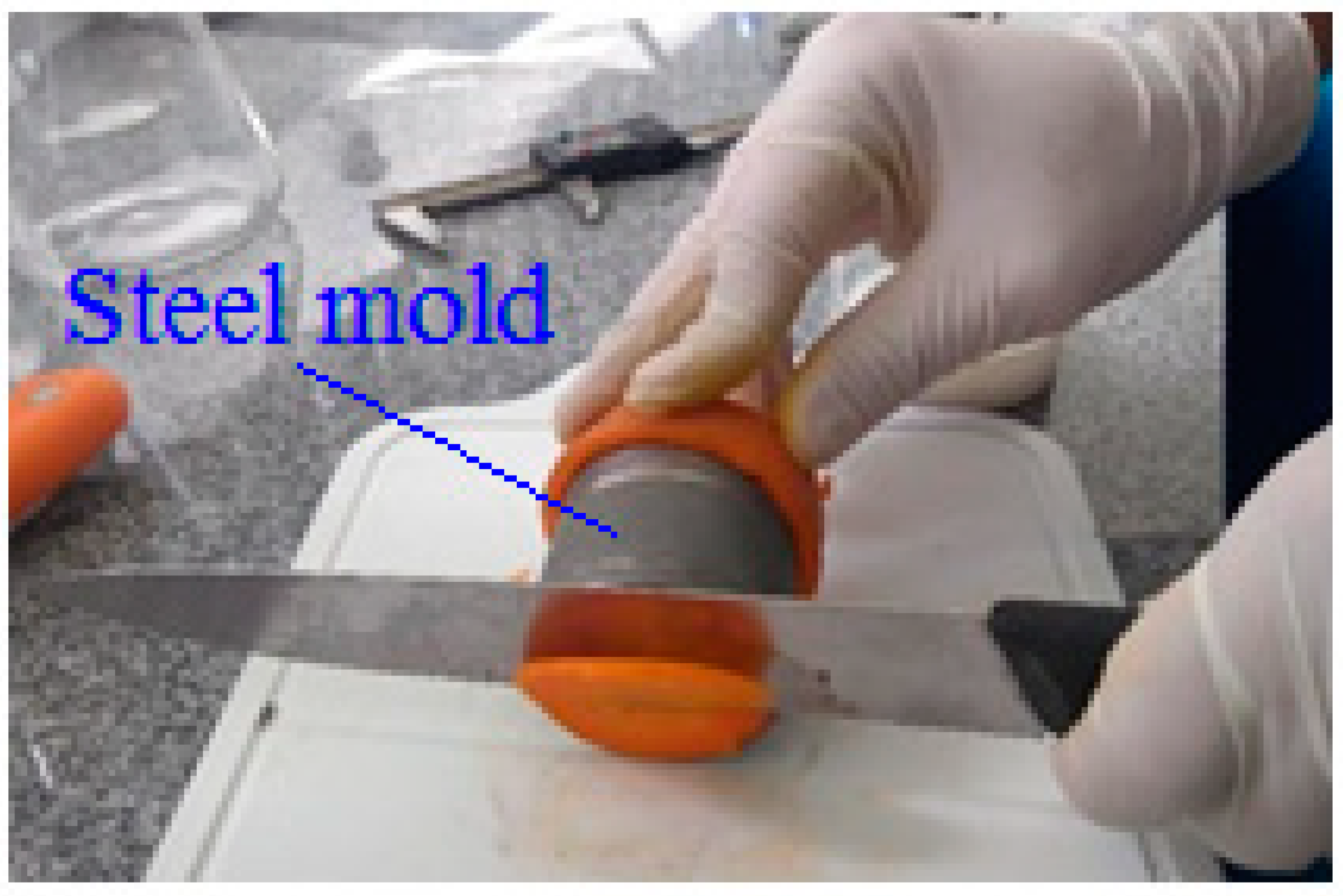 Foods 12 02084 g001 Foods 12 02084 g001