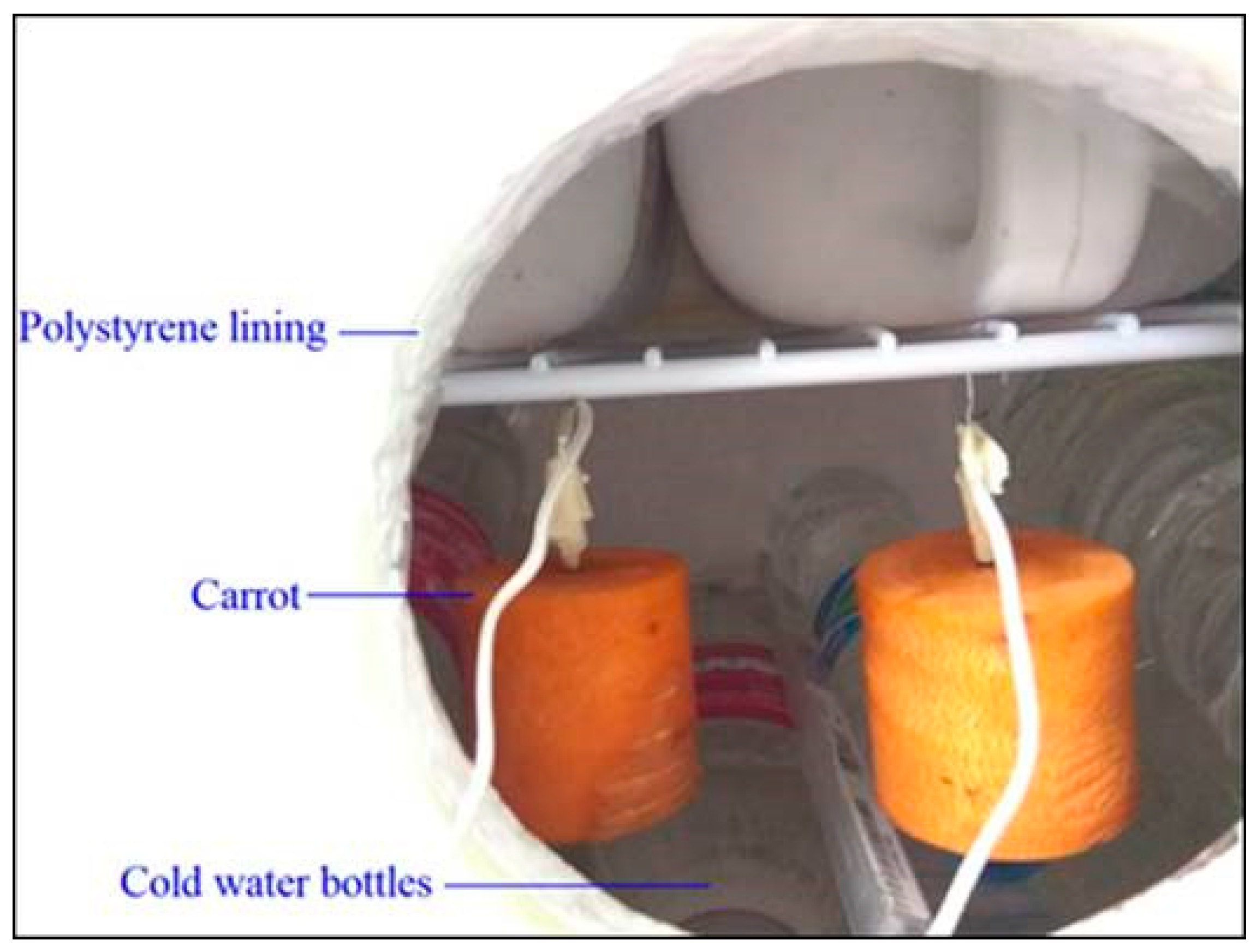 Foods 12 02084 g002 Foods 12 02084 g002
