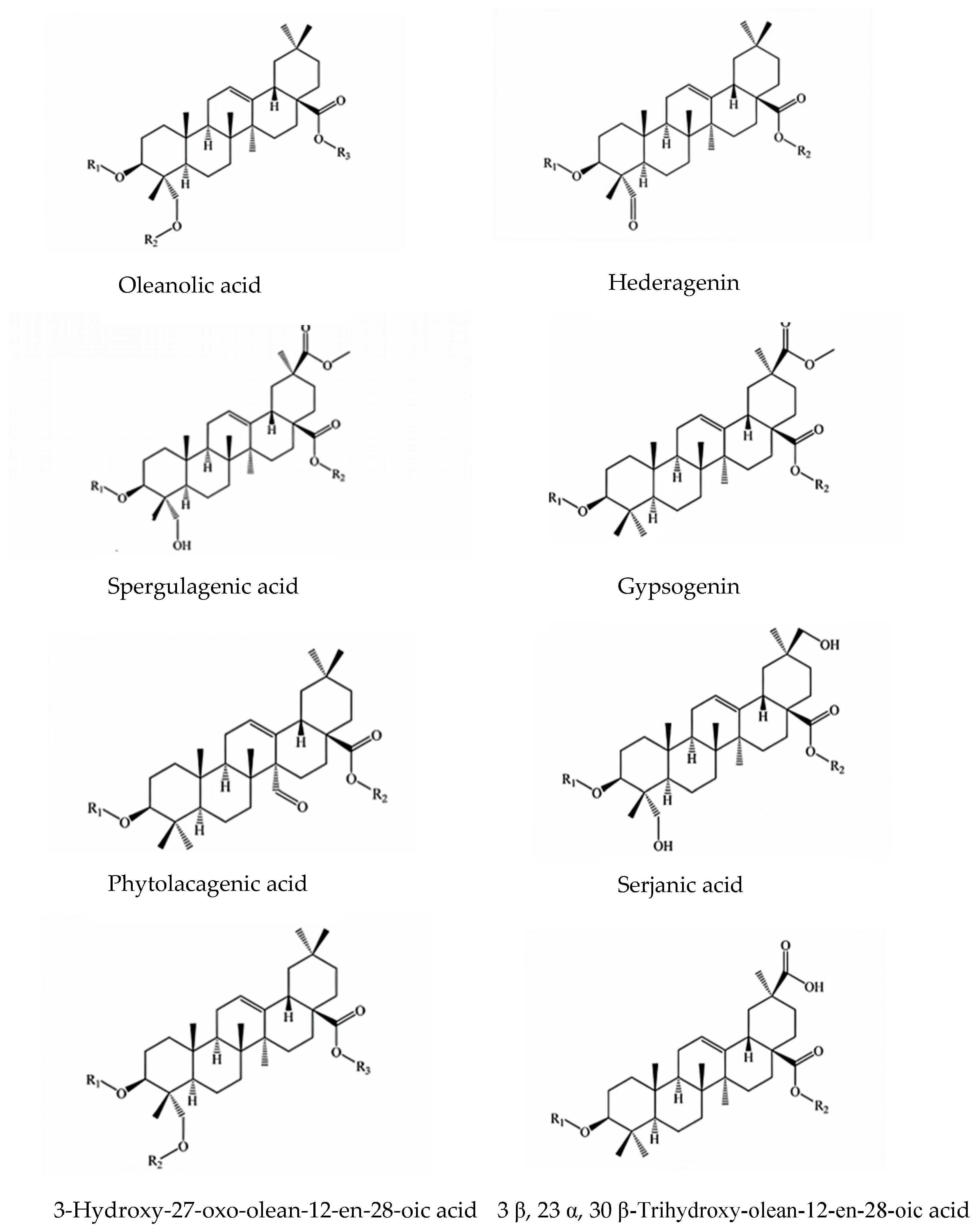 Foods 12 02087 g002 Foods 12 02087 g002
