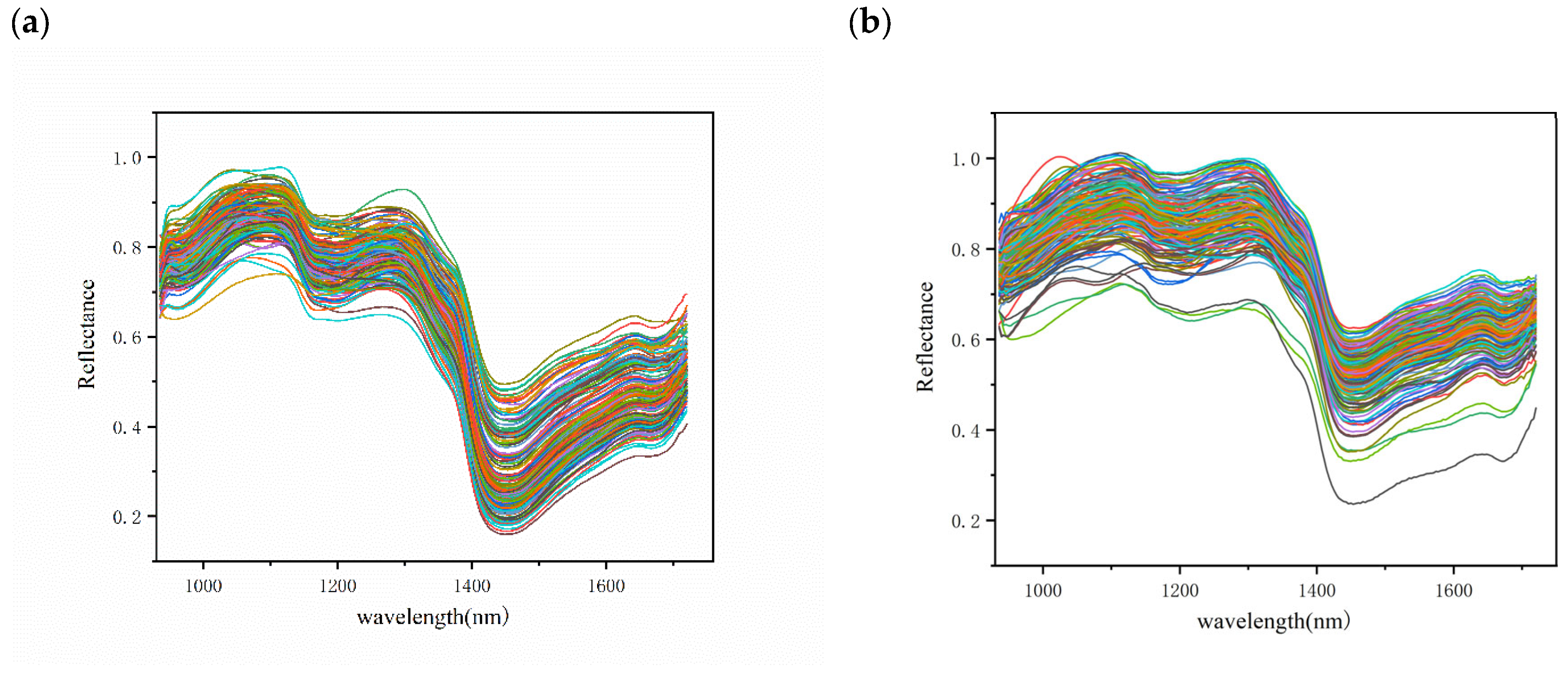 Foods 12 02089 g004a