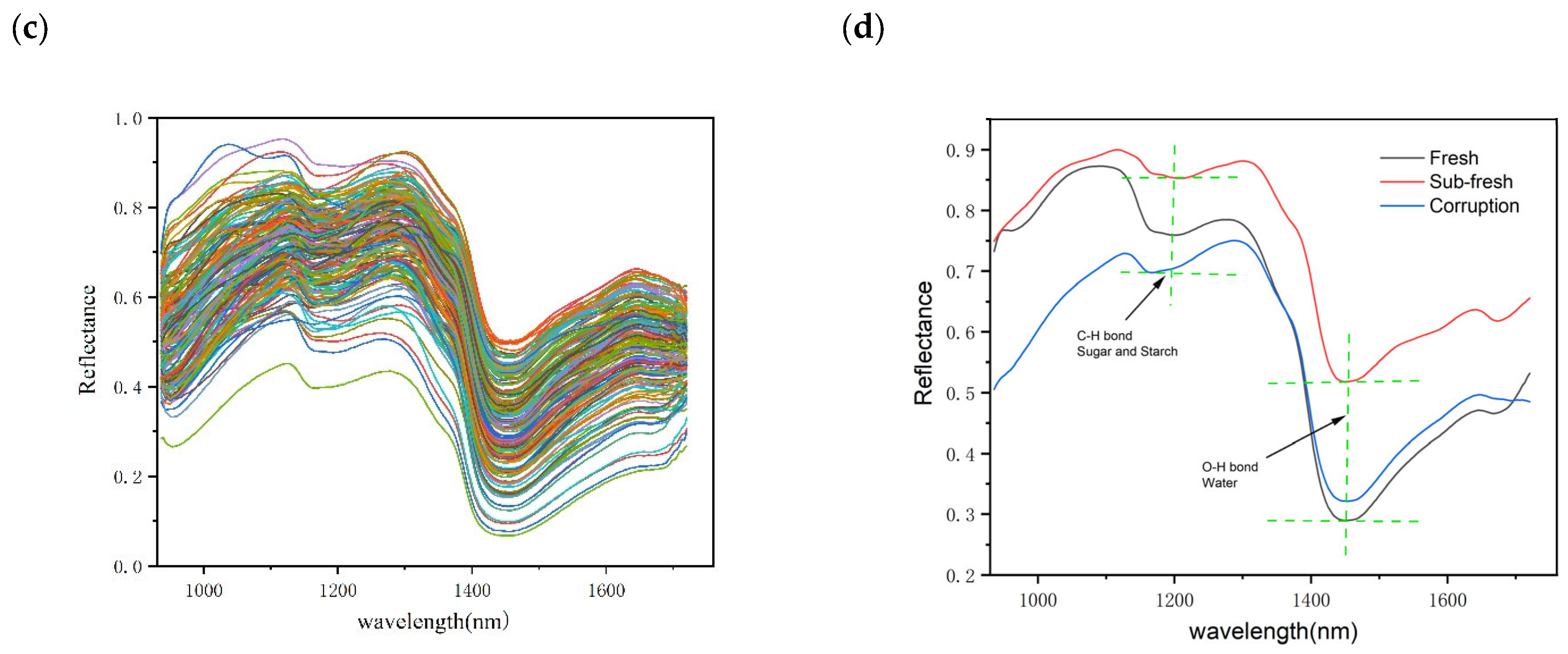 Foods 12 02089 g004b