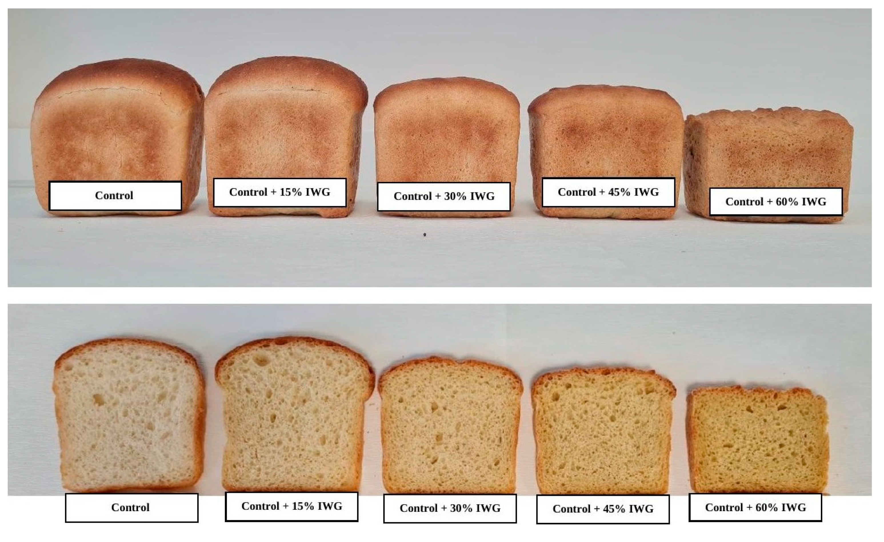 Foods 12 02109 g001 Foods 12 02109 g001
