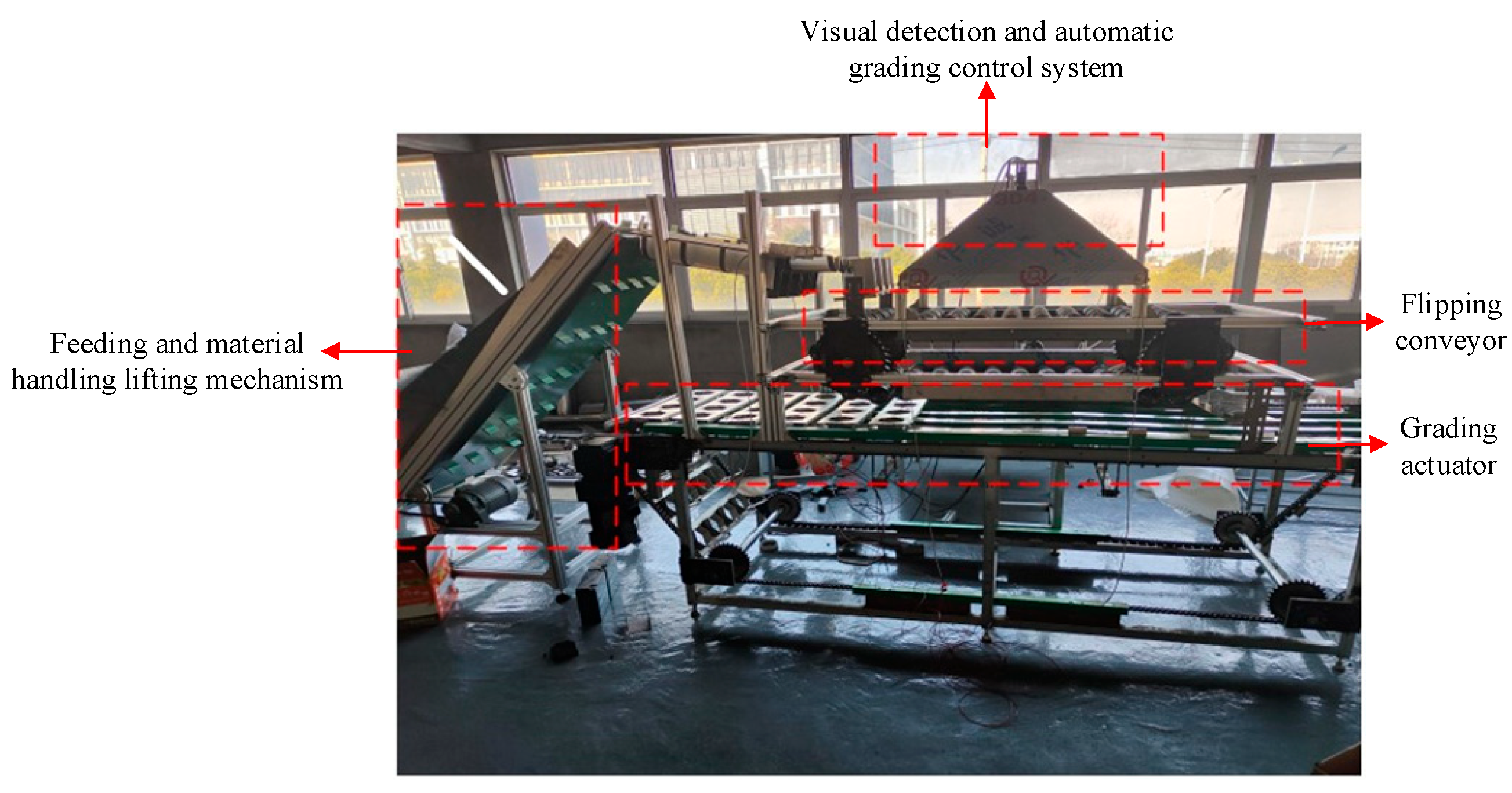 Foods 12 02117 g001 550