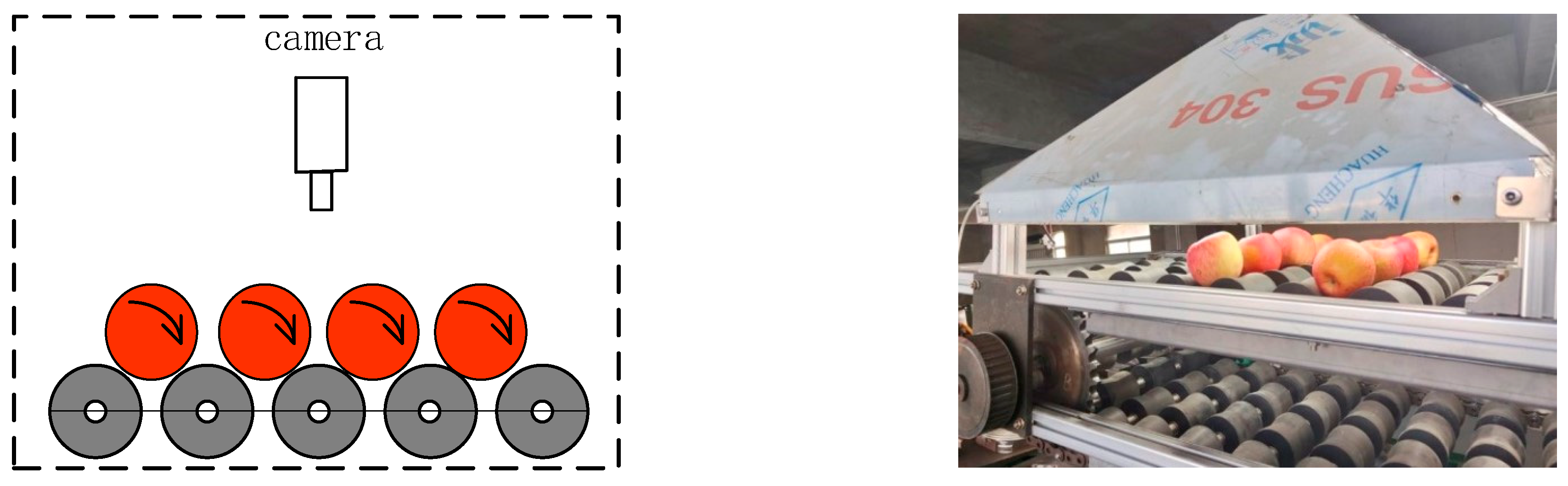 Foods 12 02117 g002 550