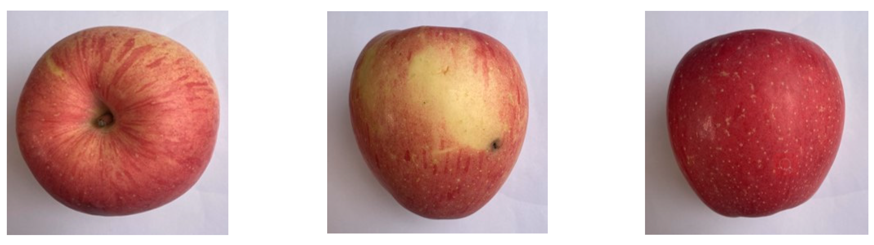 Foods 12 02117 g003 550