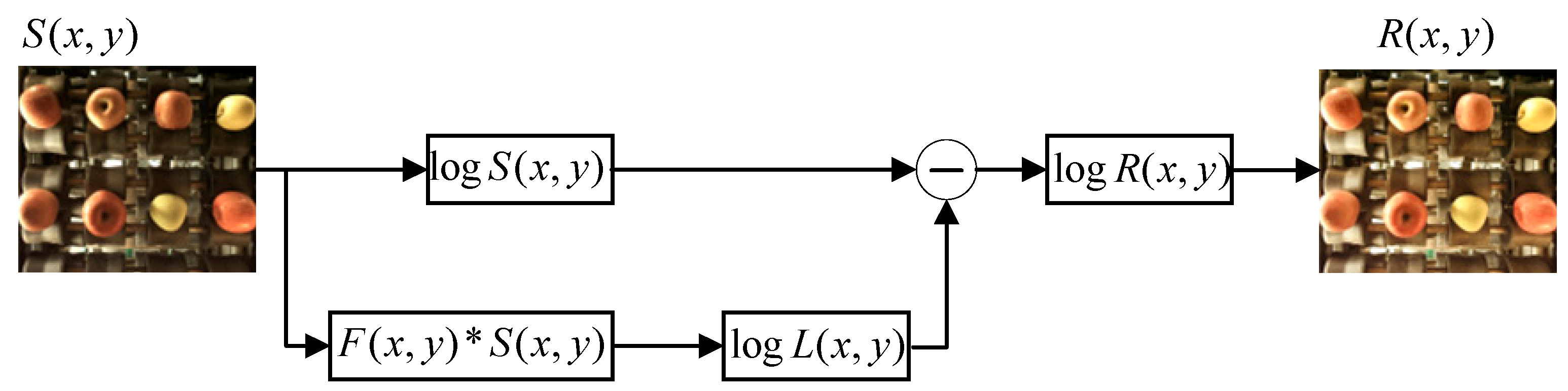 Foods 12 02117 g006 550