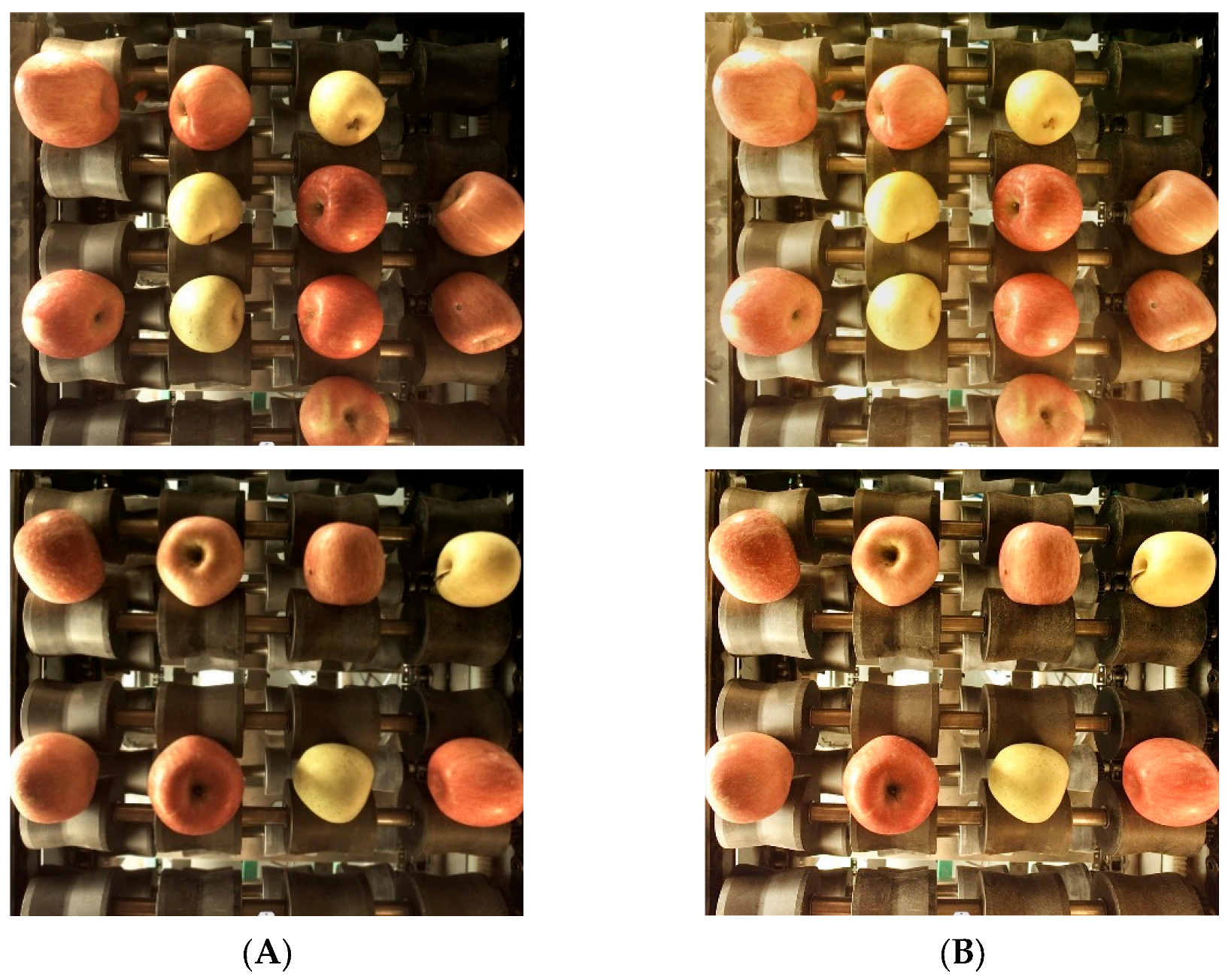 Foods 12 02117 g007 550