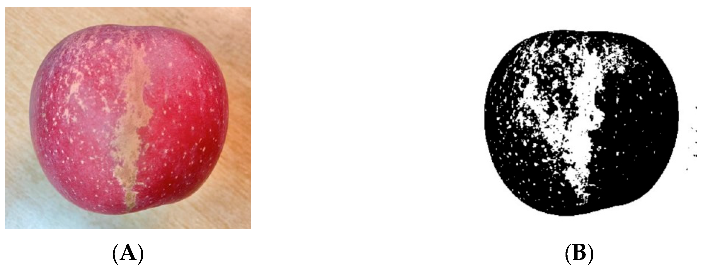 Foods 12 02117 g012 550