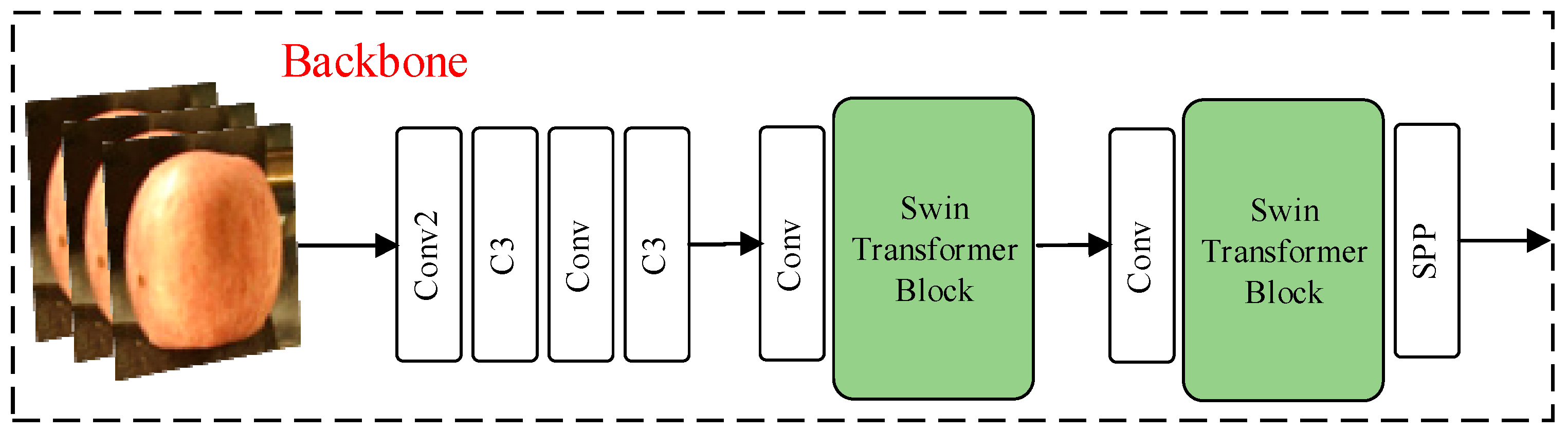 Foods 12 02117 g013 550