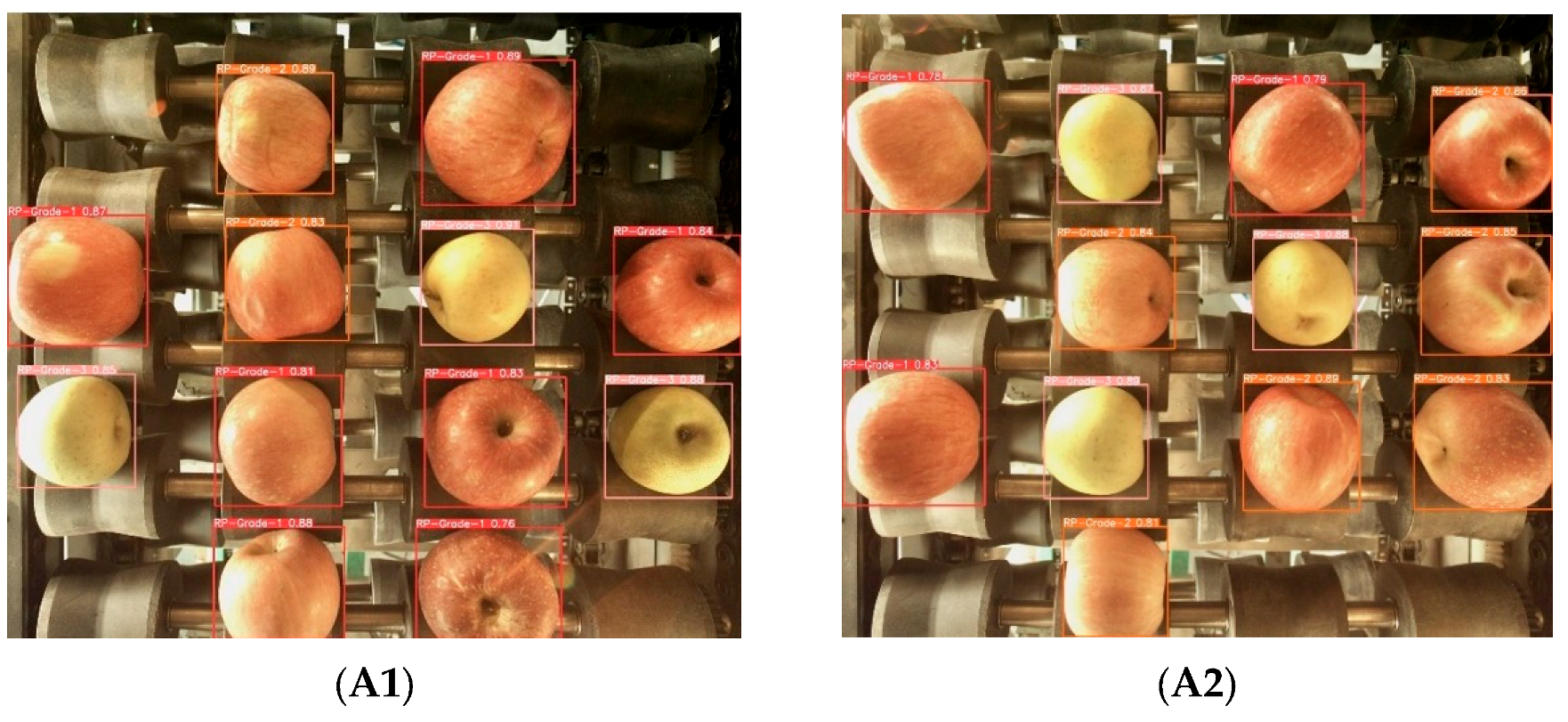 Foods 12 02117 g017a 550