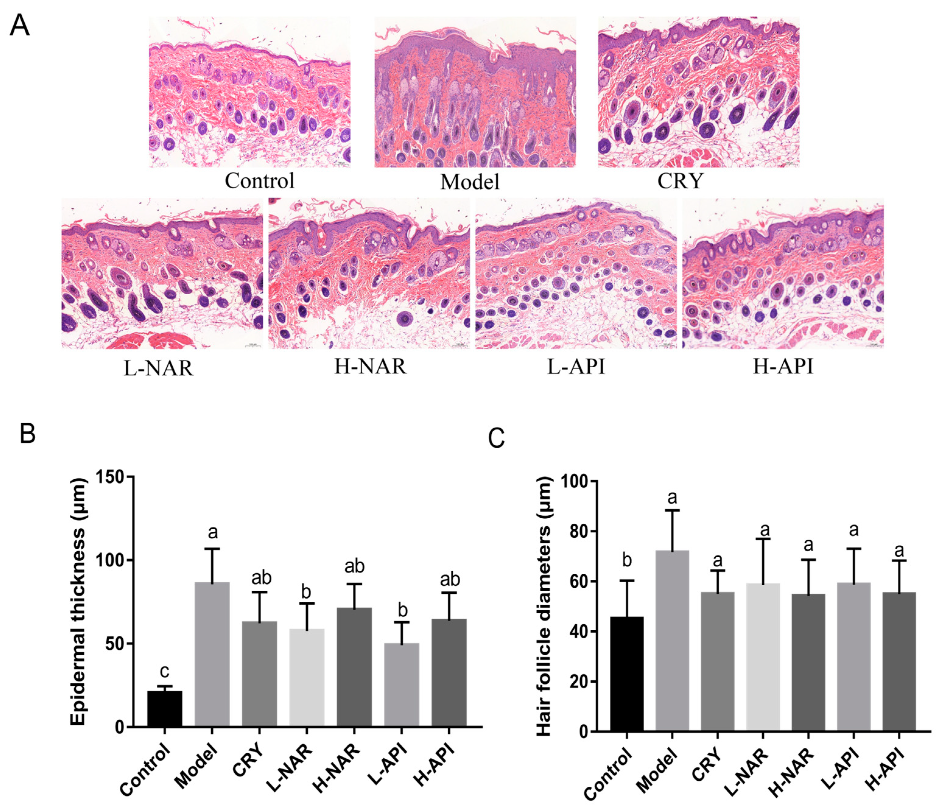 Foods 12 02120 g002 Foods 12 02120 g002