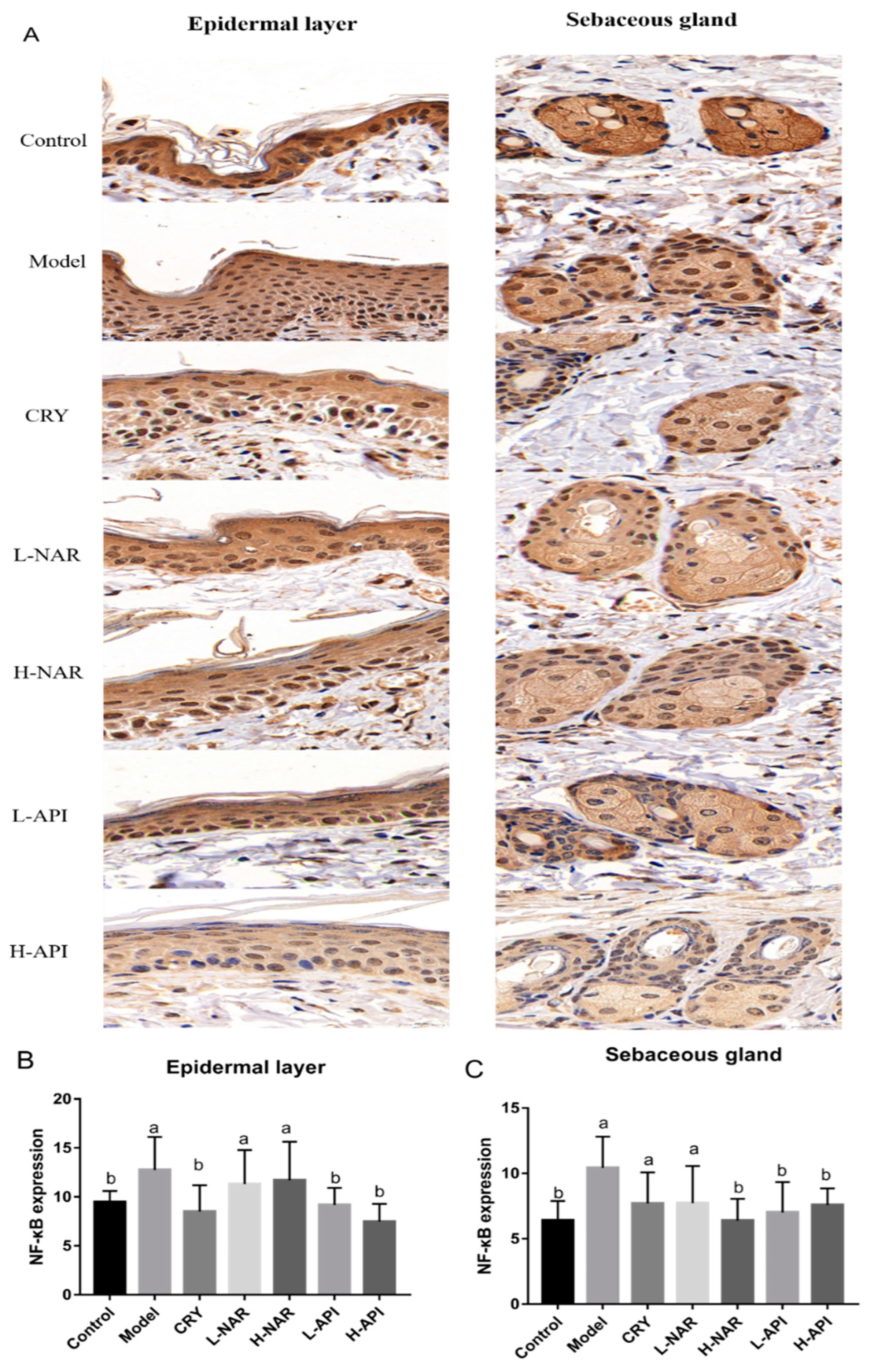 Foods 12 02120 g006 Foods 12 02120 g006