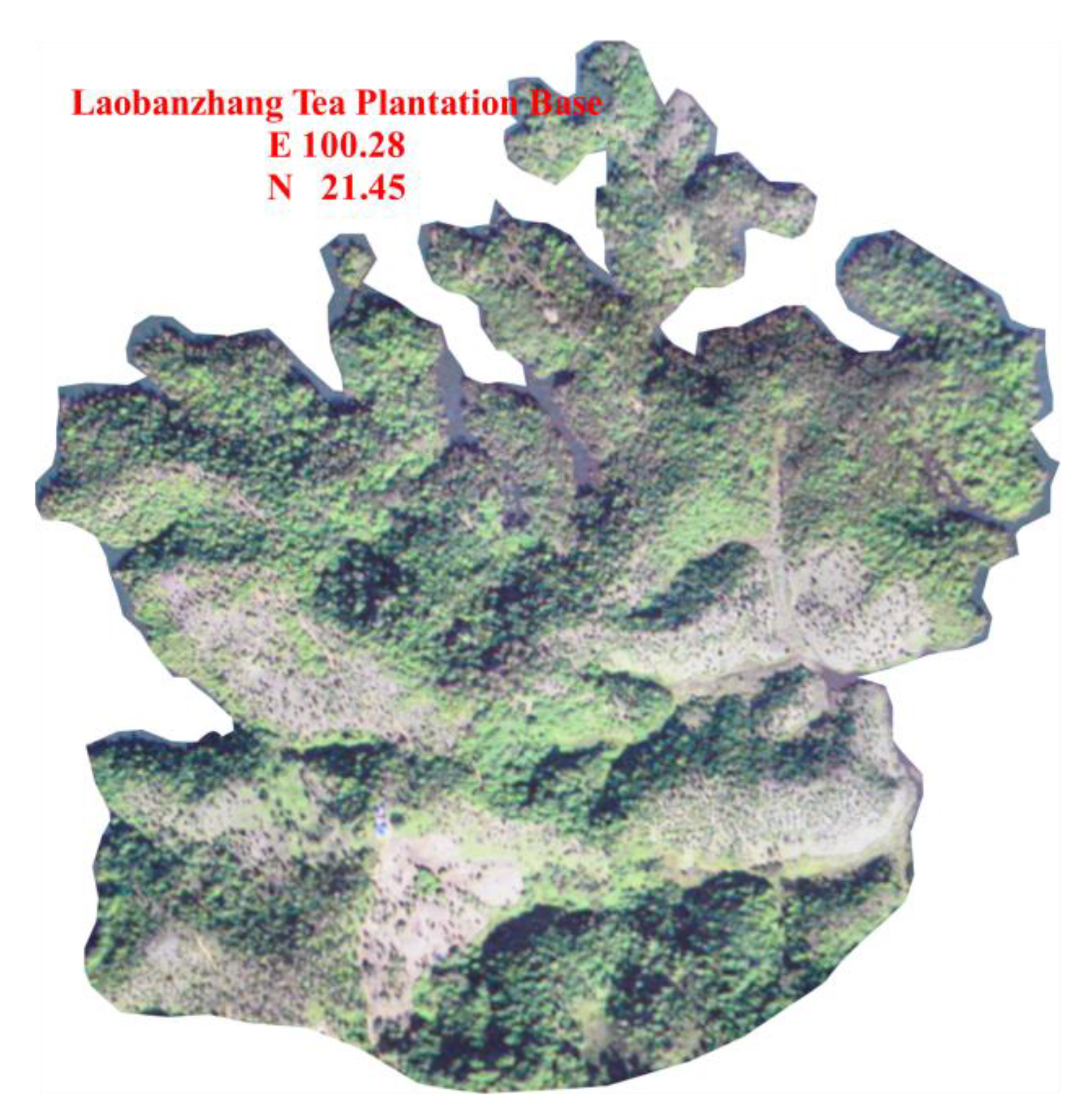 Foods 12 02128 g001 Foods 12 02128 g001