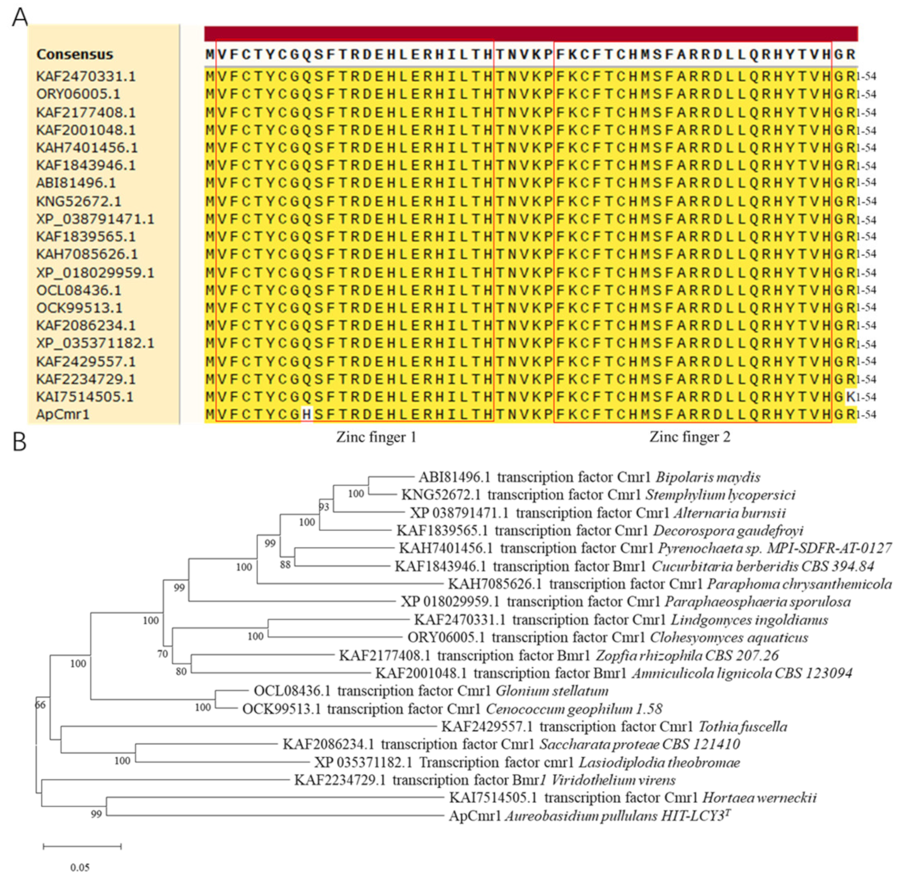 Foods 12 02135 g001 Foods 12 02135 g001