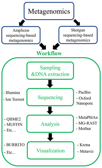 Unraveling the functional dark matter through global metagenomics