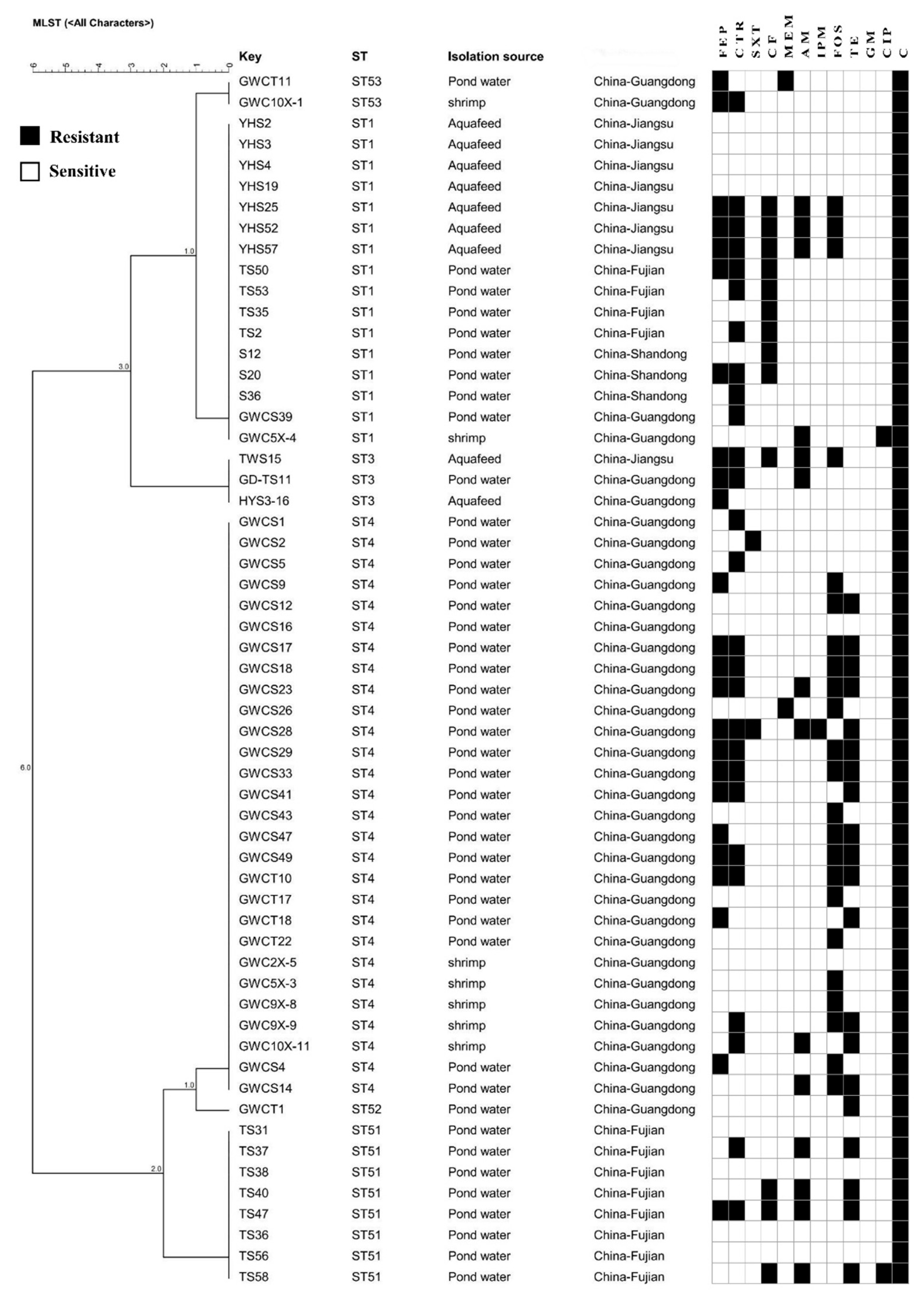 Foods 12 02143 g007 Foods 12 02143 g007