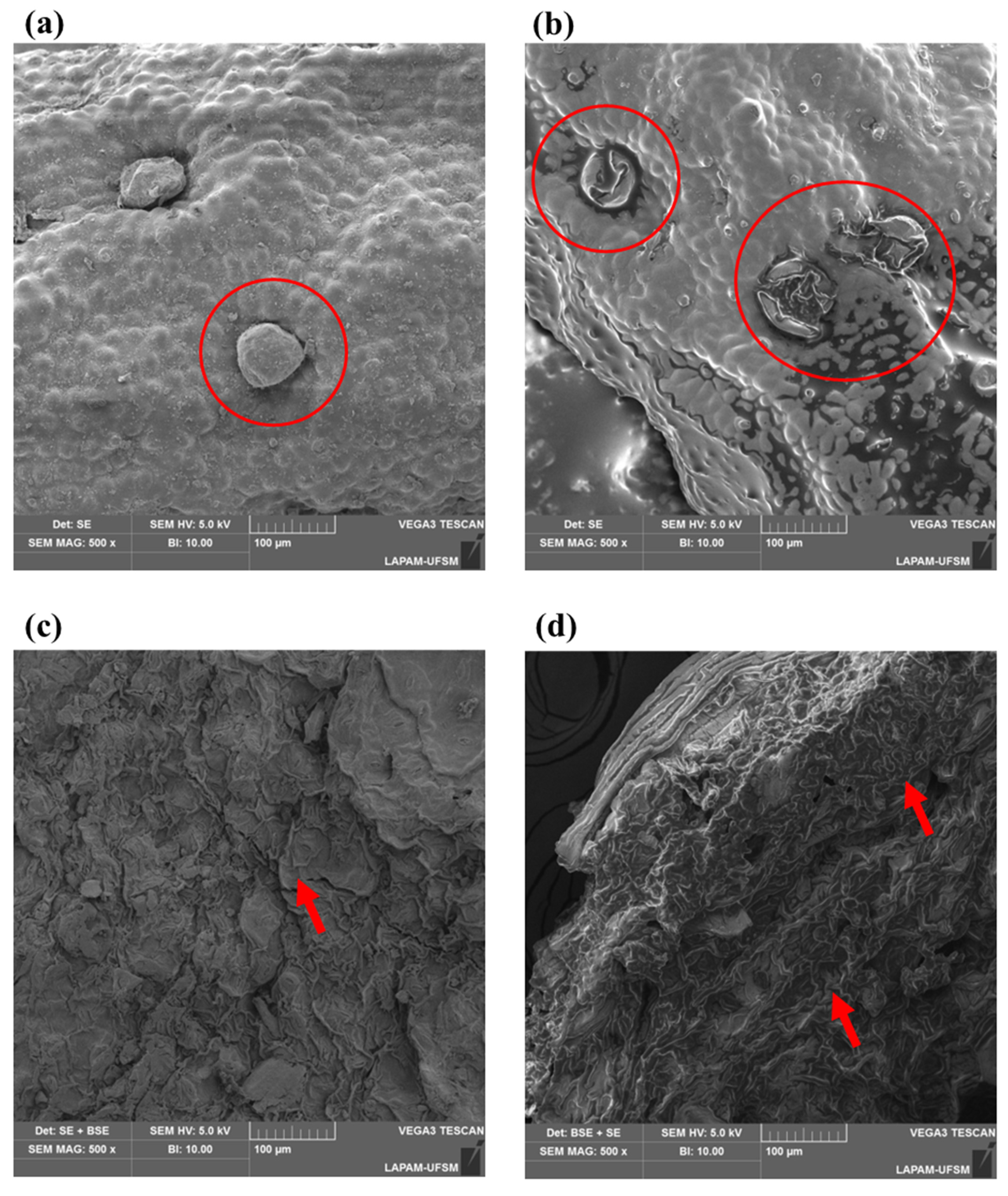 Foods 12 02157 g004 Foods 12 02157 g004