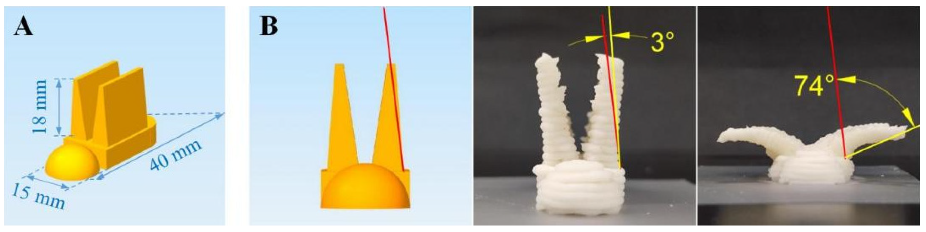 【予約】 Change Shape Rapid Microwave-Induced of Vegetable Printed 4D その他