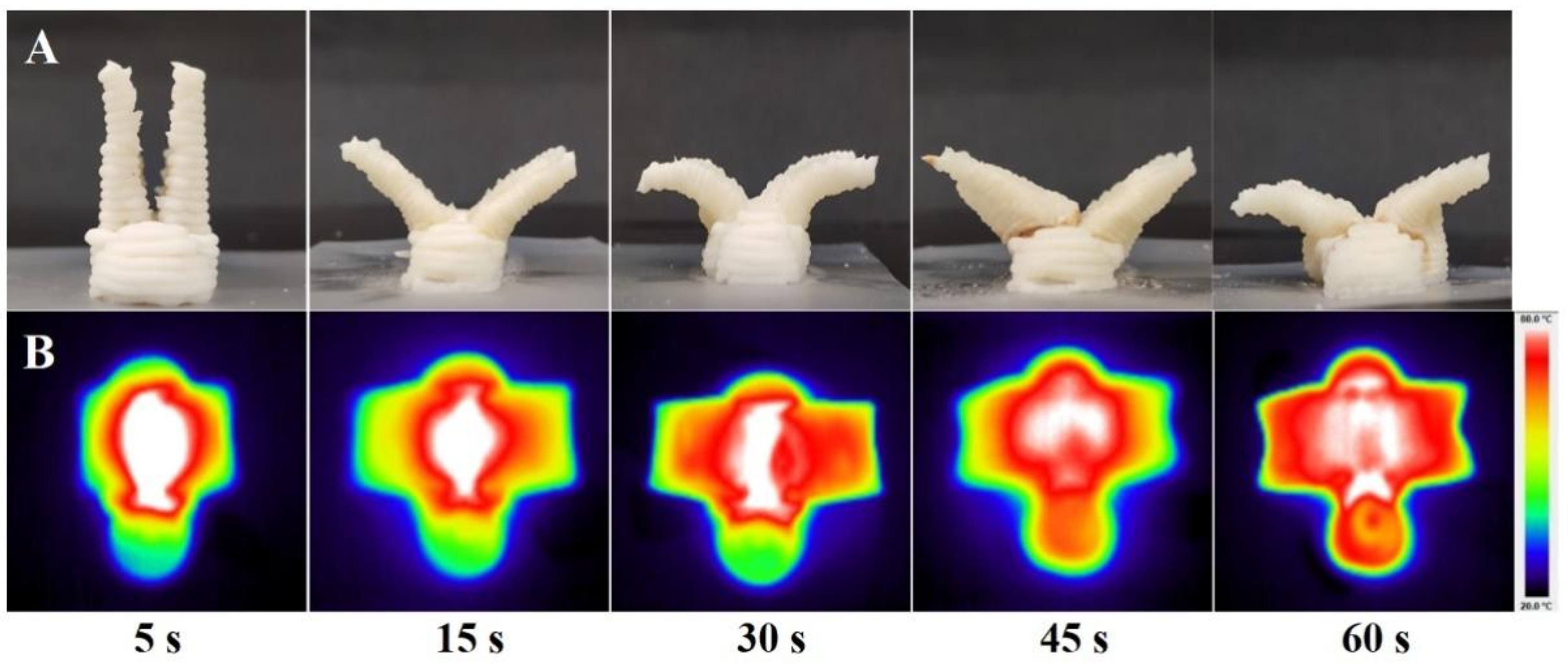 Foods 12 02158 g003 Foods 12 02158 g003