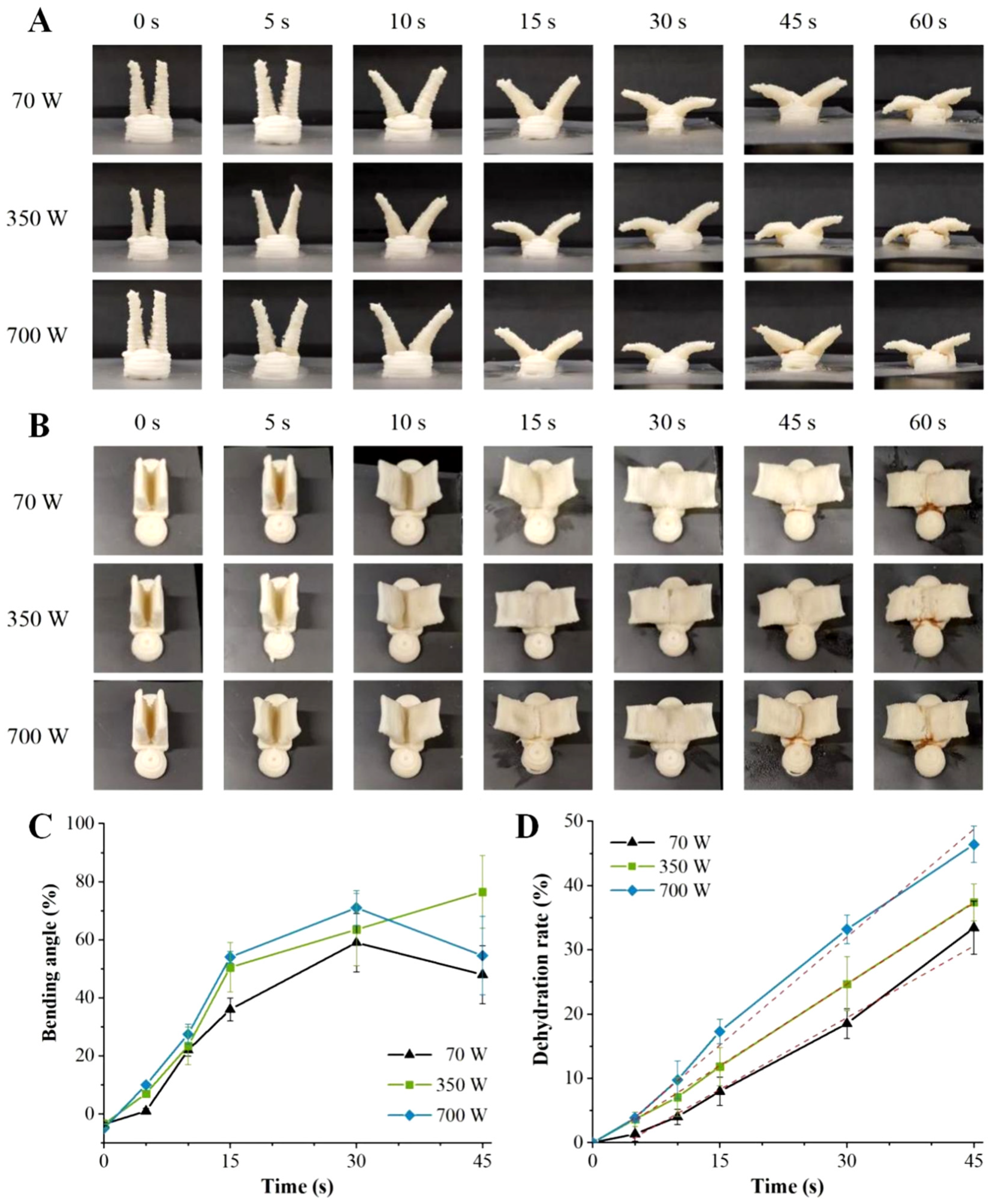 Foods 12 02158 g004 Foods 12 02158 g004