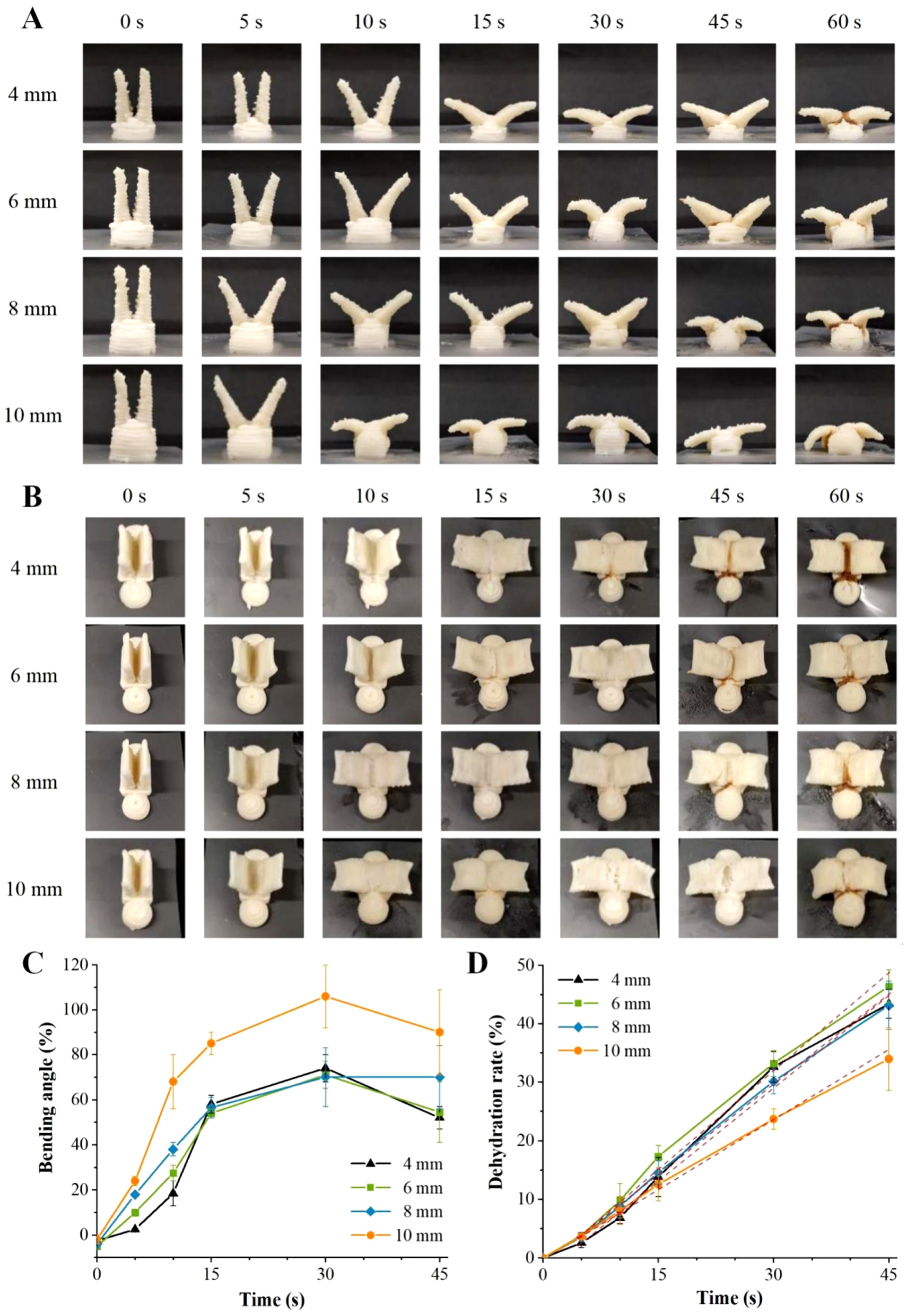 Foods 12 02158 g005 Foods 12 02158 g005