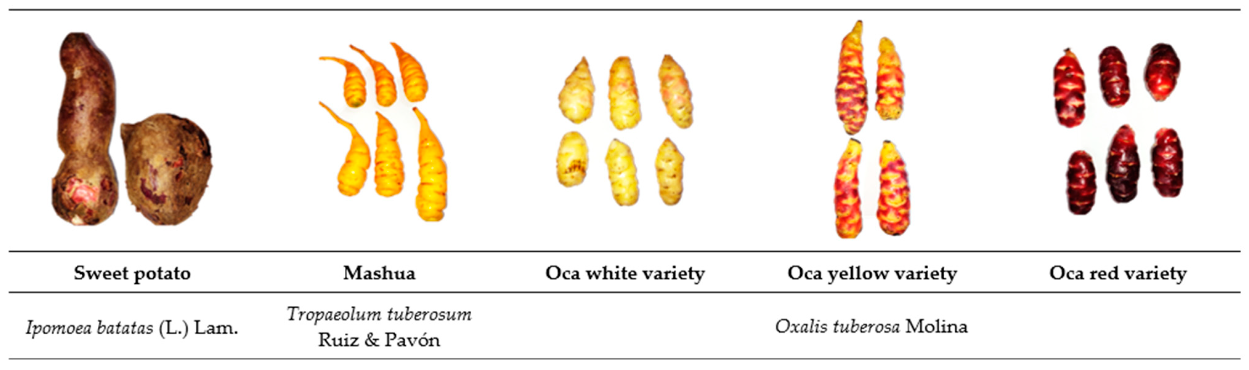 Foods 12 02168 g001 Foods 12 02168 g001