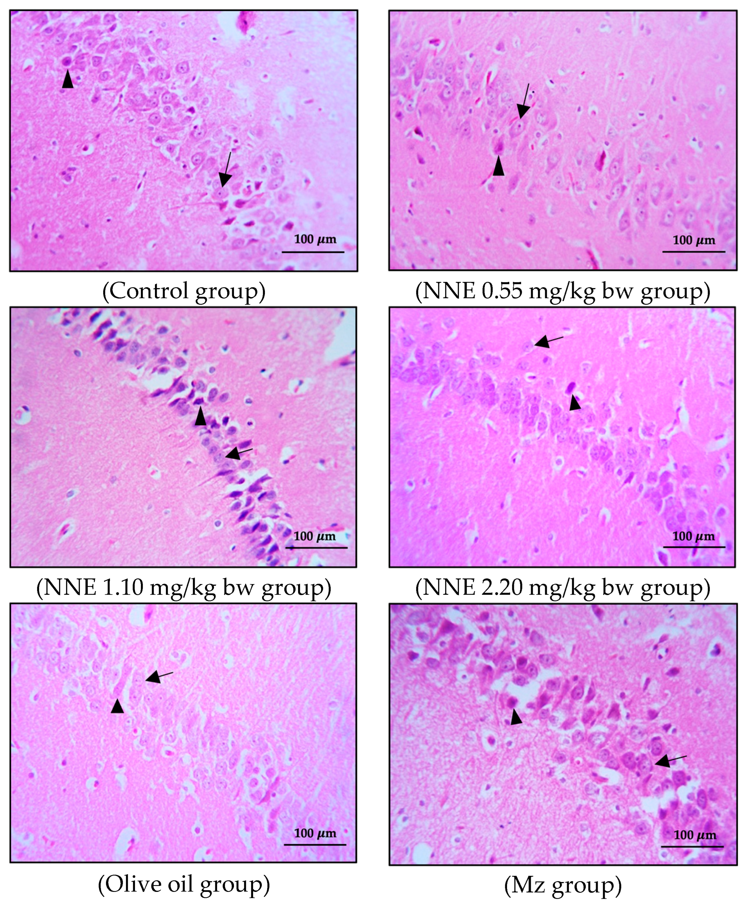 Foods 12 02175 g005a