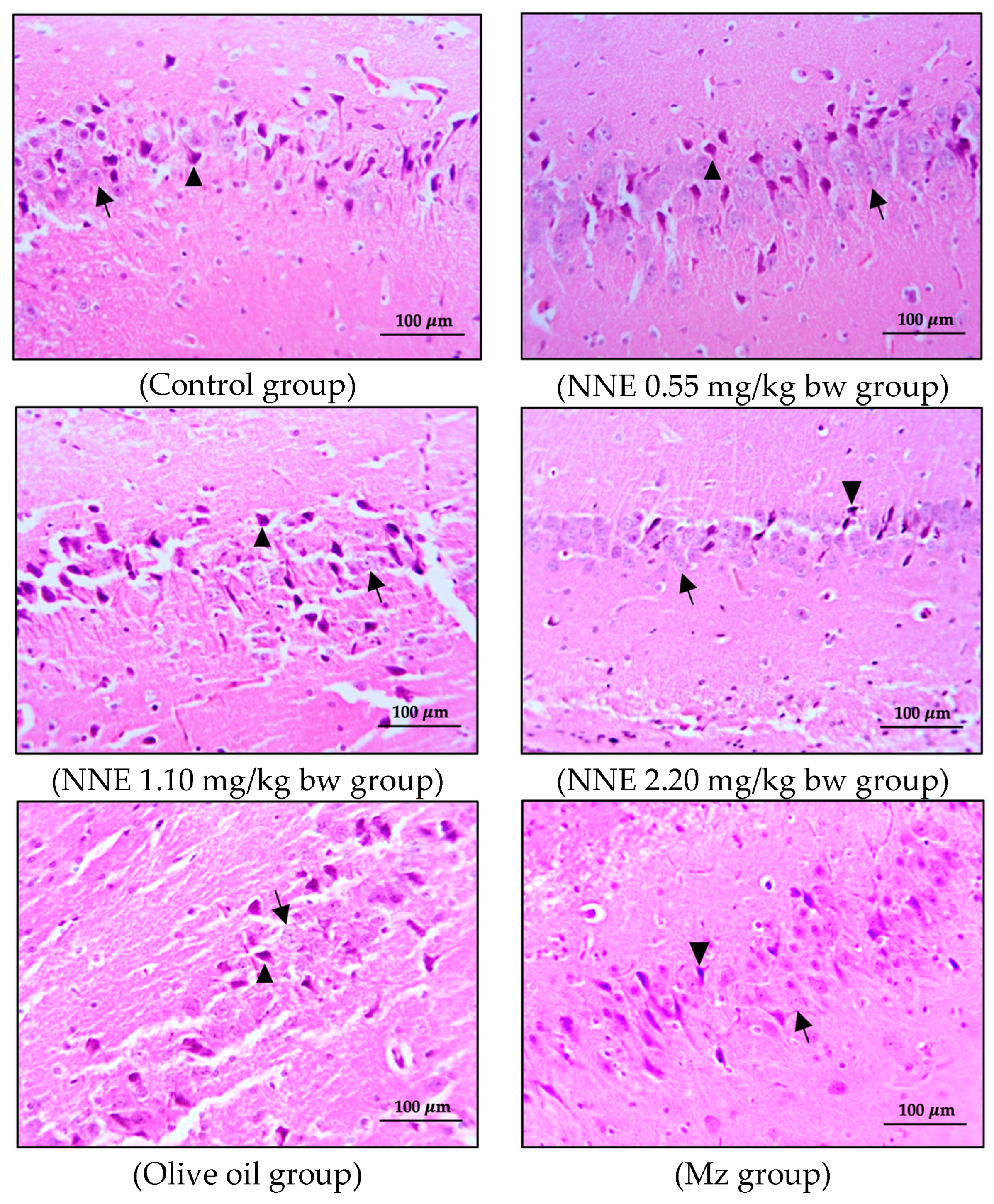 Foods 12 02175 g006a