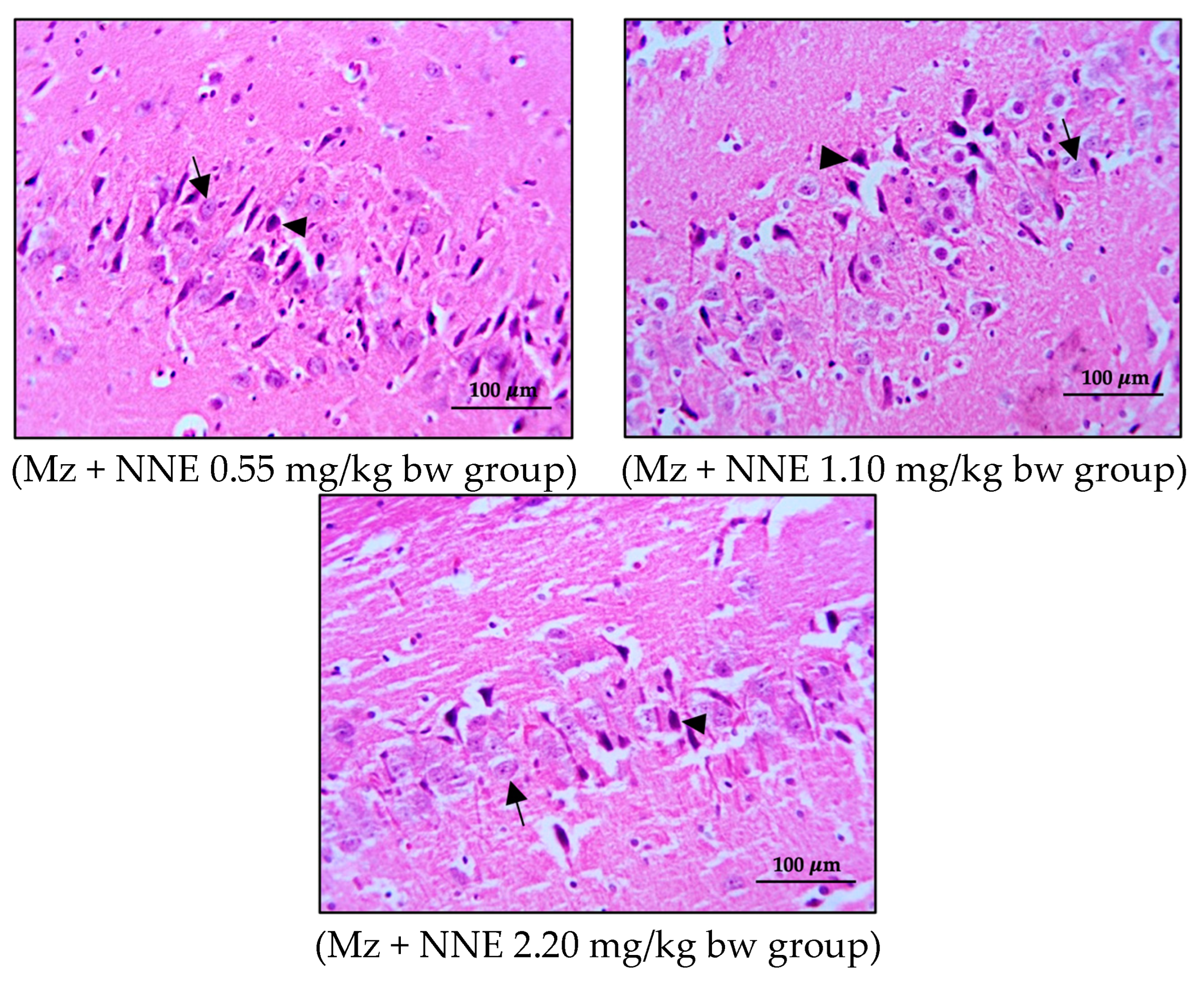 Foods 12 02175 g006b
