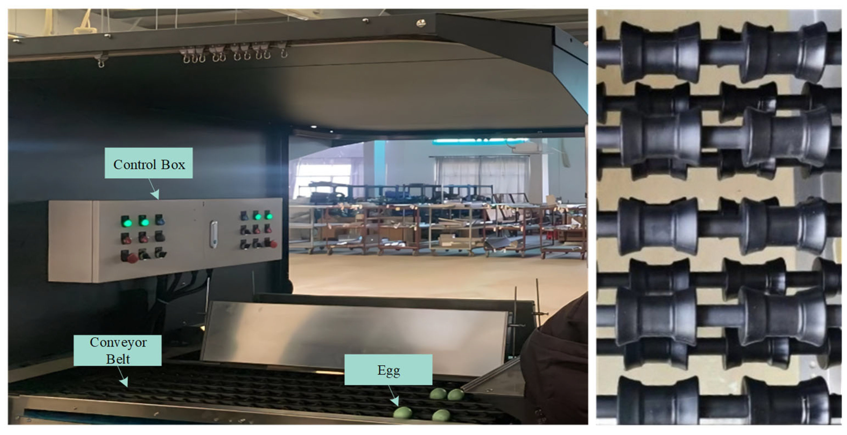 Foods 12 02179 g001 Foods 12 02179 g001