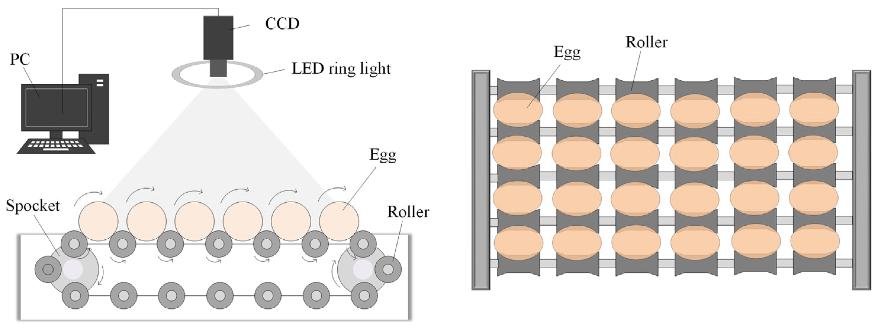 Foods 12 02179 g002 Foods 12 02179 g002