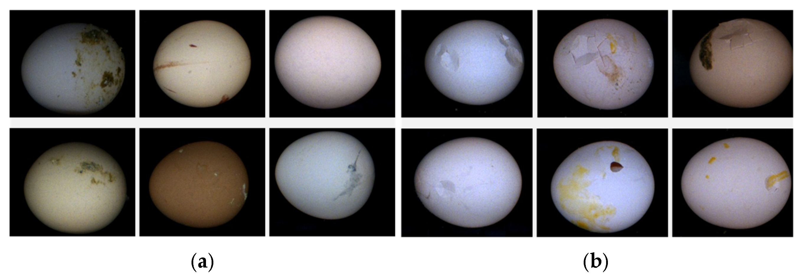 Foods 12 02179 g003 Foods 12 02179 g003