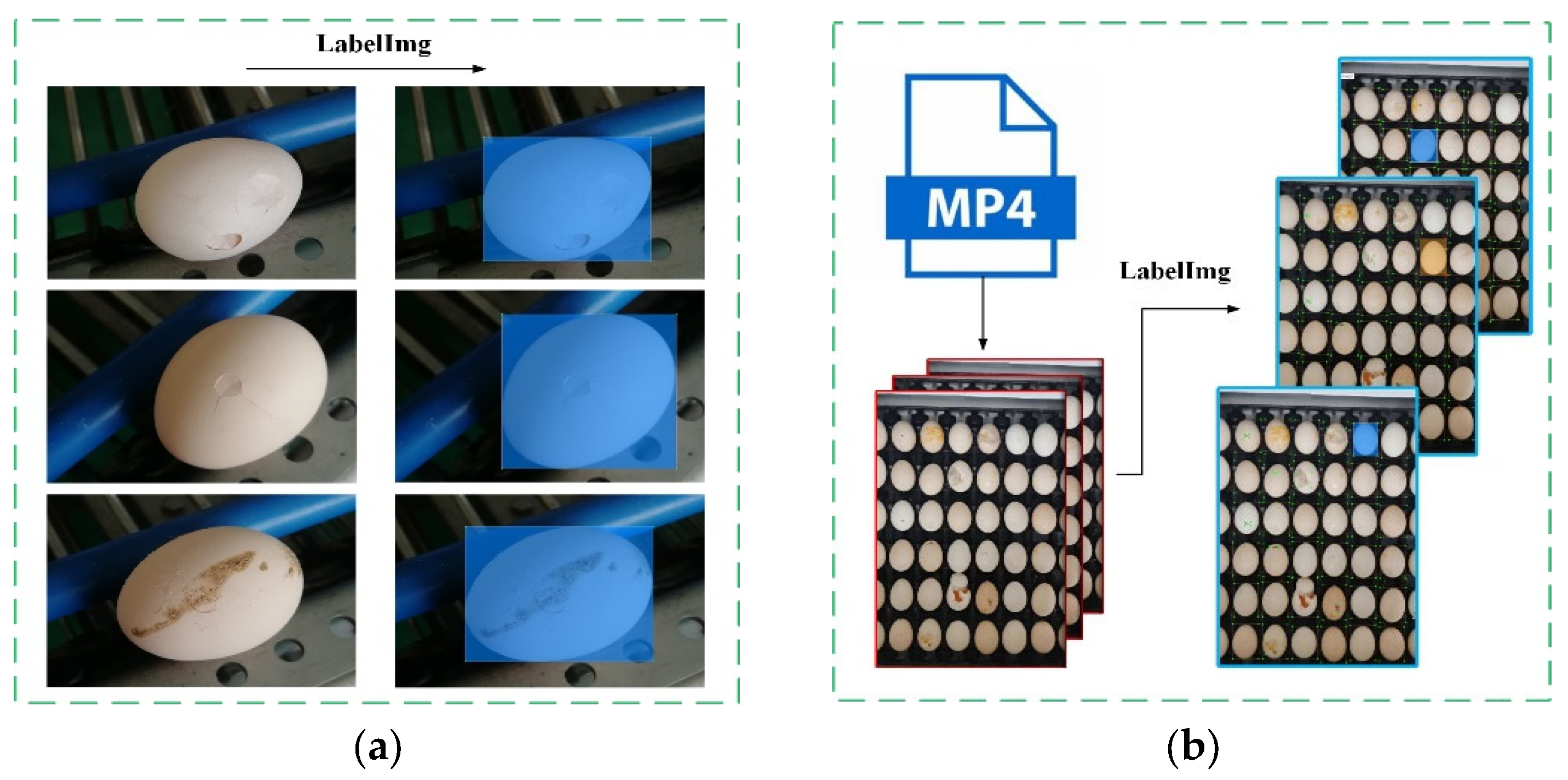 Foods 12 02179 g004 Foods 12 02179 g004
