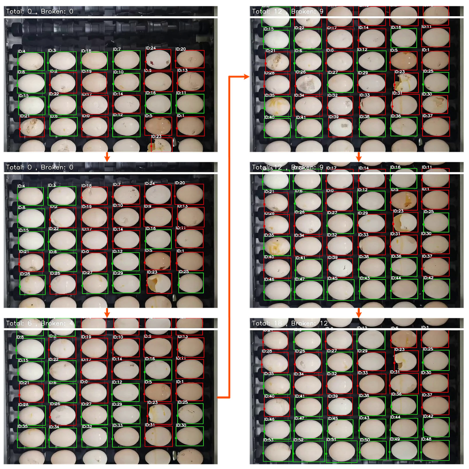 Foods 12 02179 g014 Foods 12 02179 g014