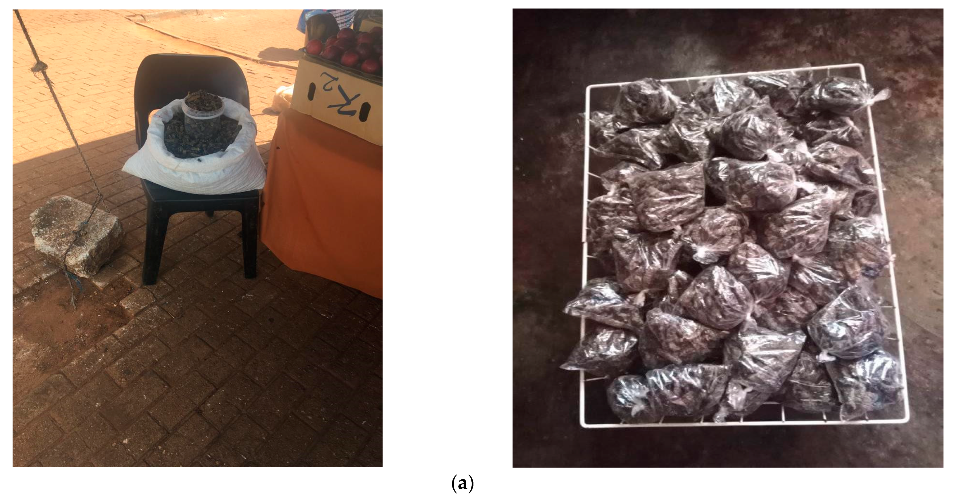 Foods 12 02184 g002a