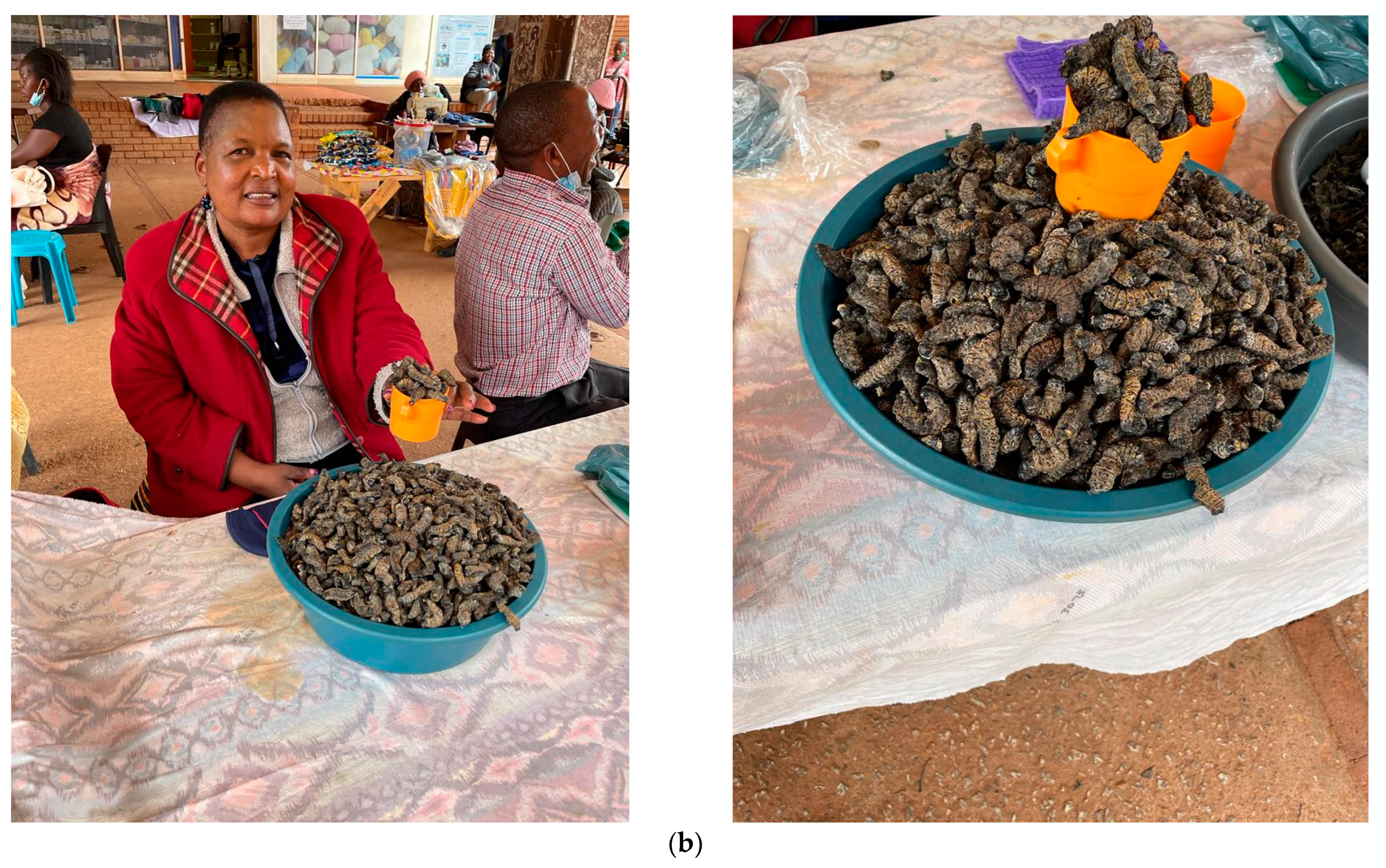 Foods 12 02184 g002b